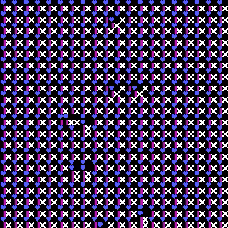 CGA Safari #179