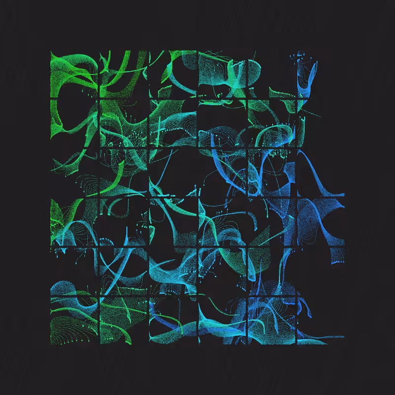 Insula #6