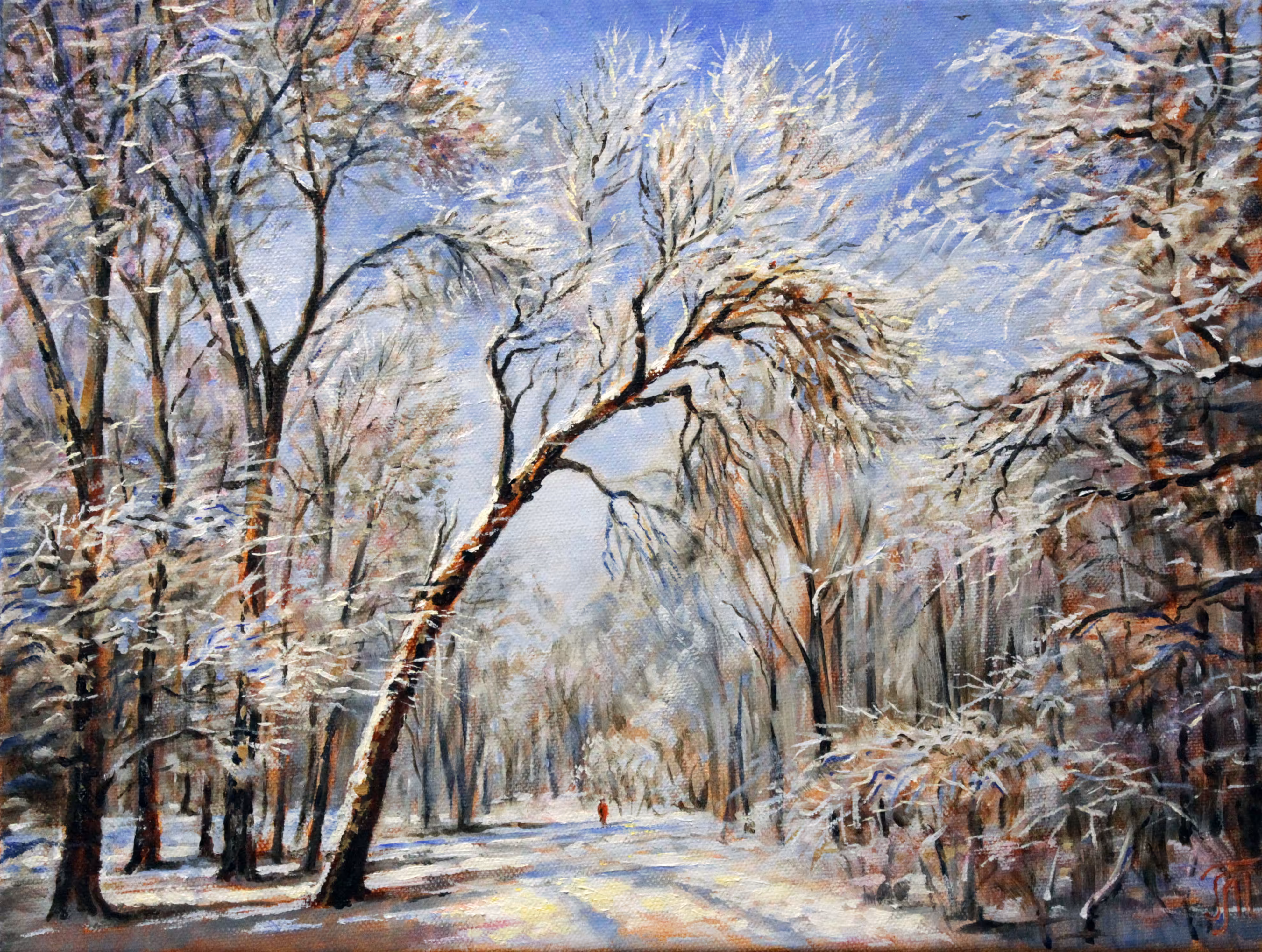 Snow dreams
