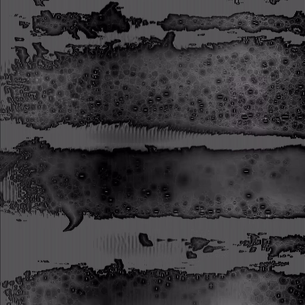 Noise #168 