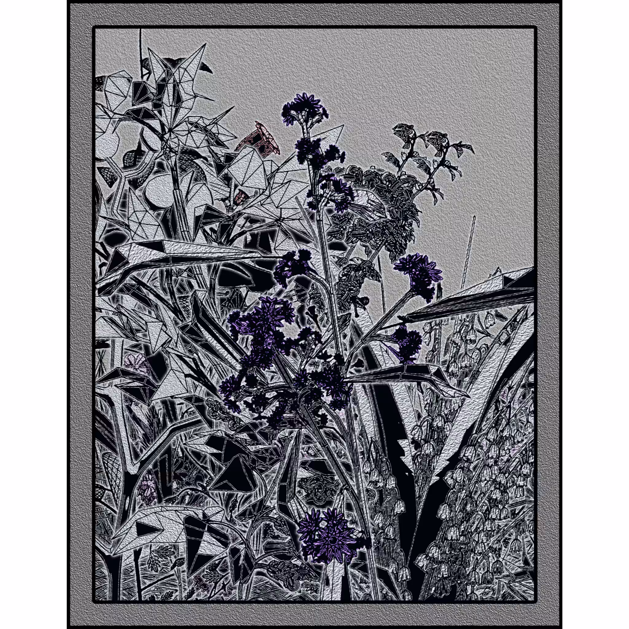 Flower View #29