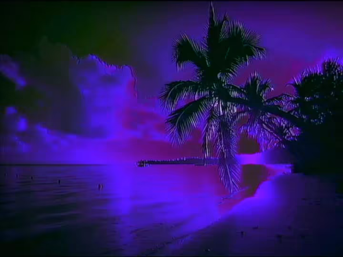 M I D N I G H T _ S H O R E L I N E