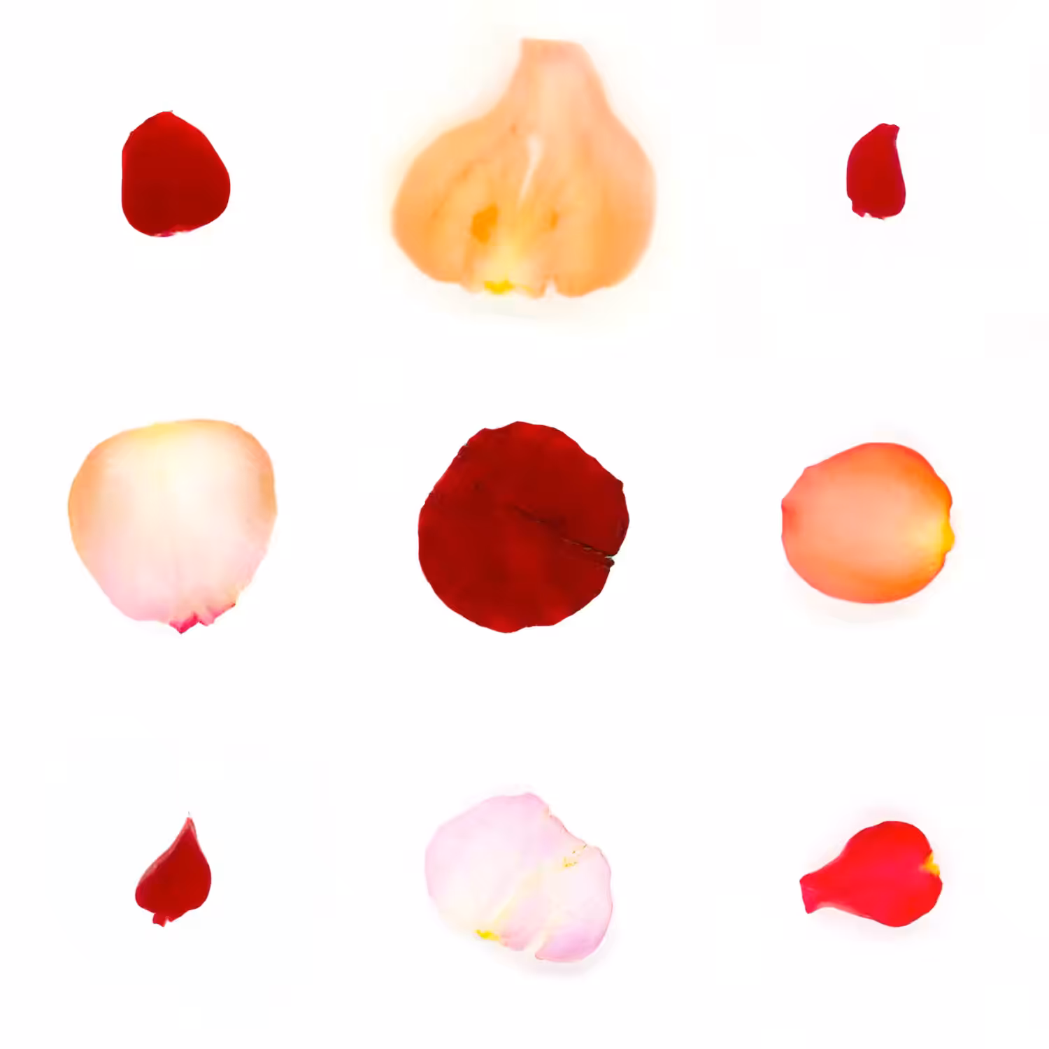 Infinite Petals 3x3#2542