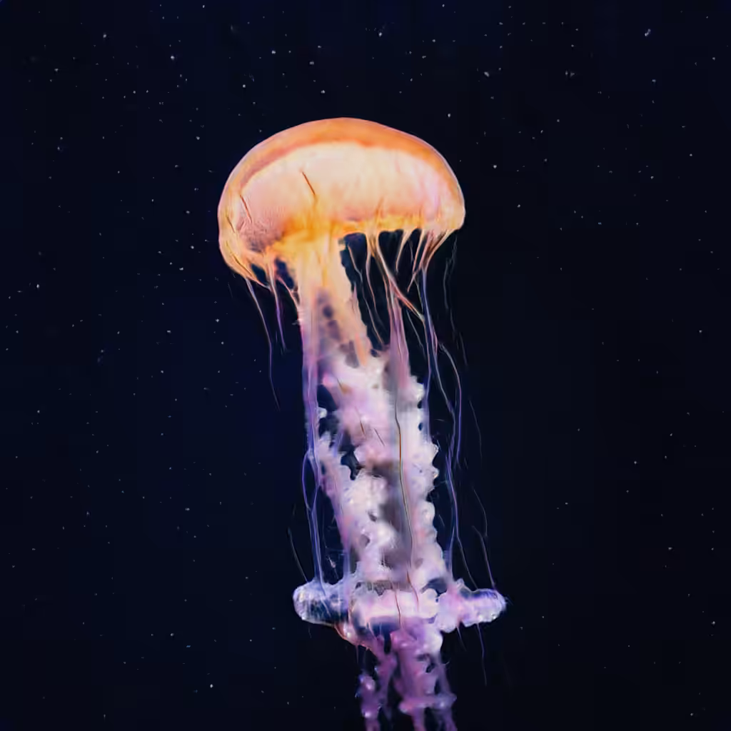 AI imagined jellyfish #1