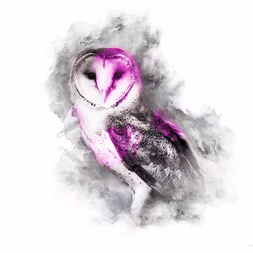 The Animal Kingdom Collection: PINK SERIES - OWL