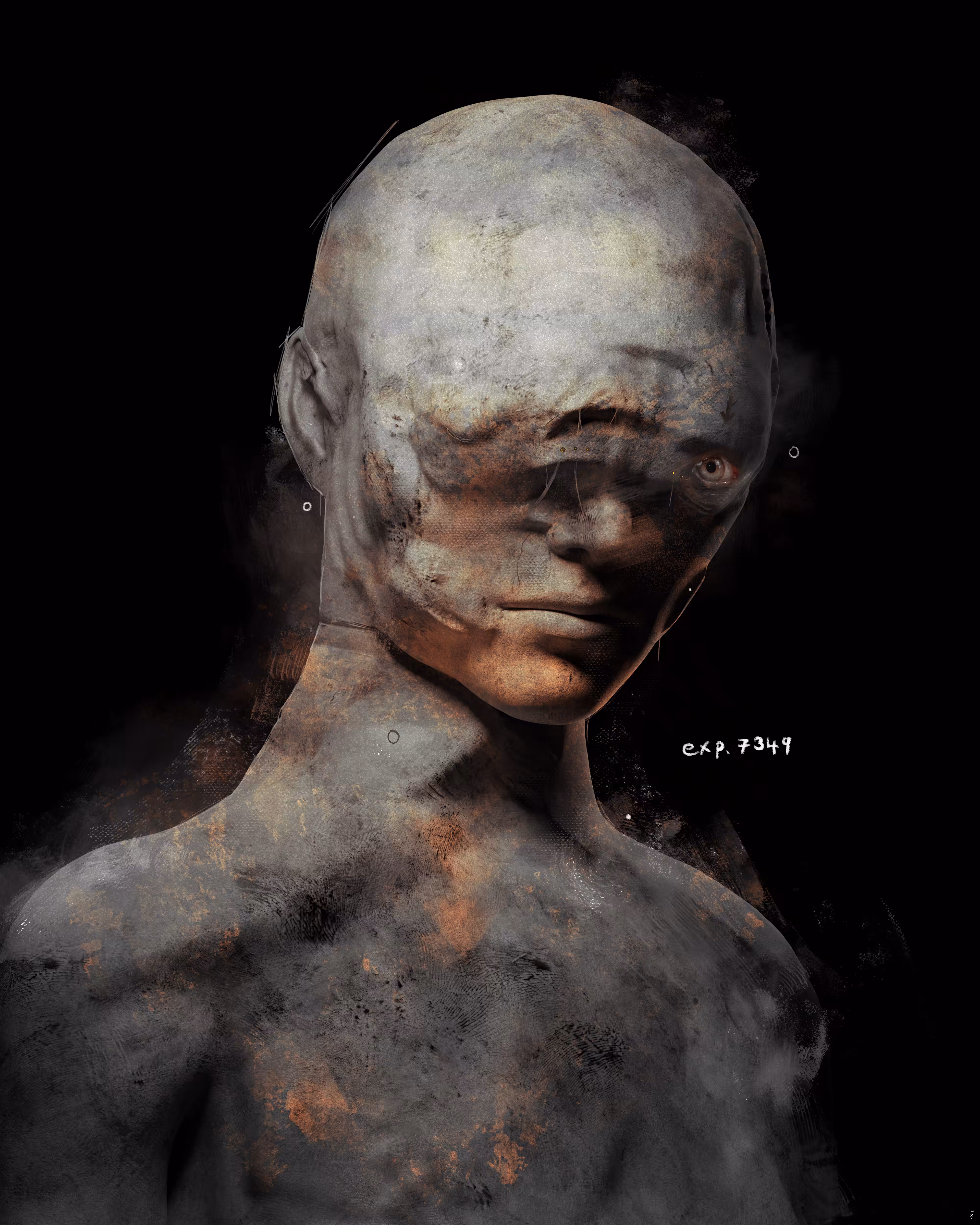 Exp. 7349