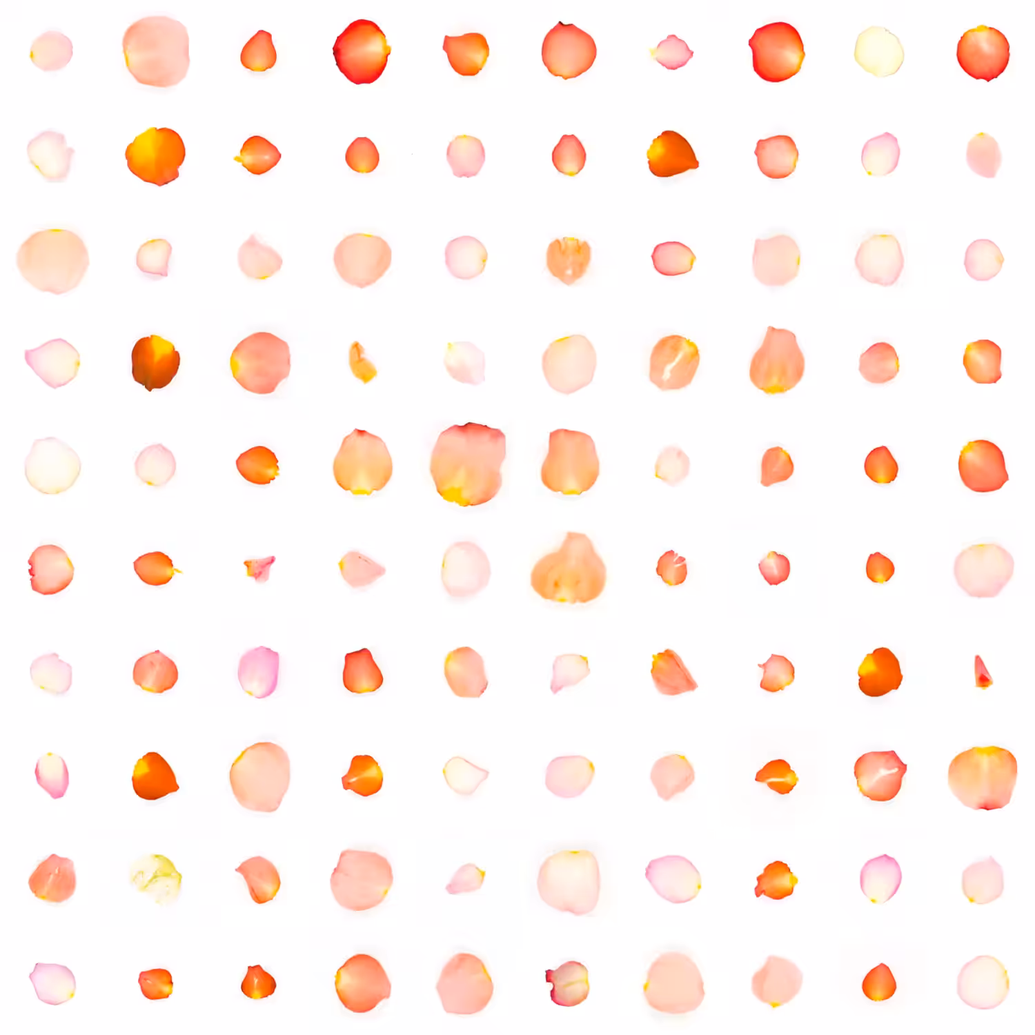 Infinite Petals 10x10#1028