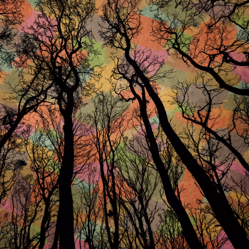 Autumn #1