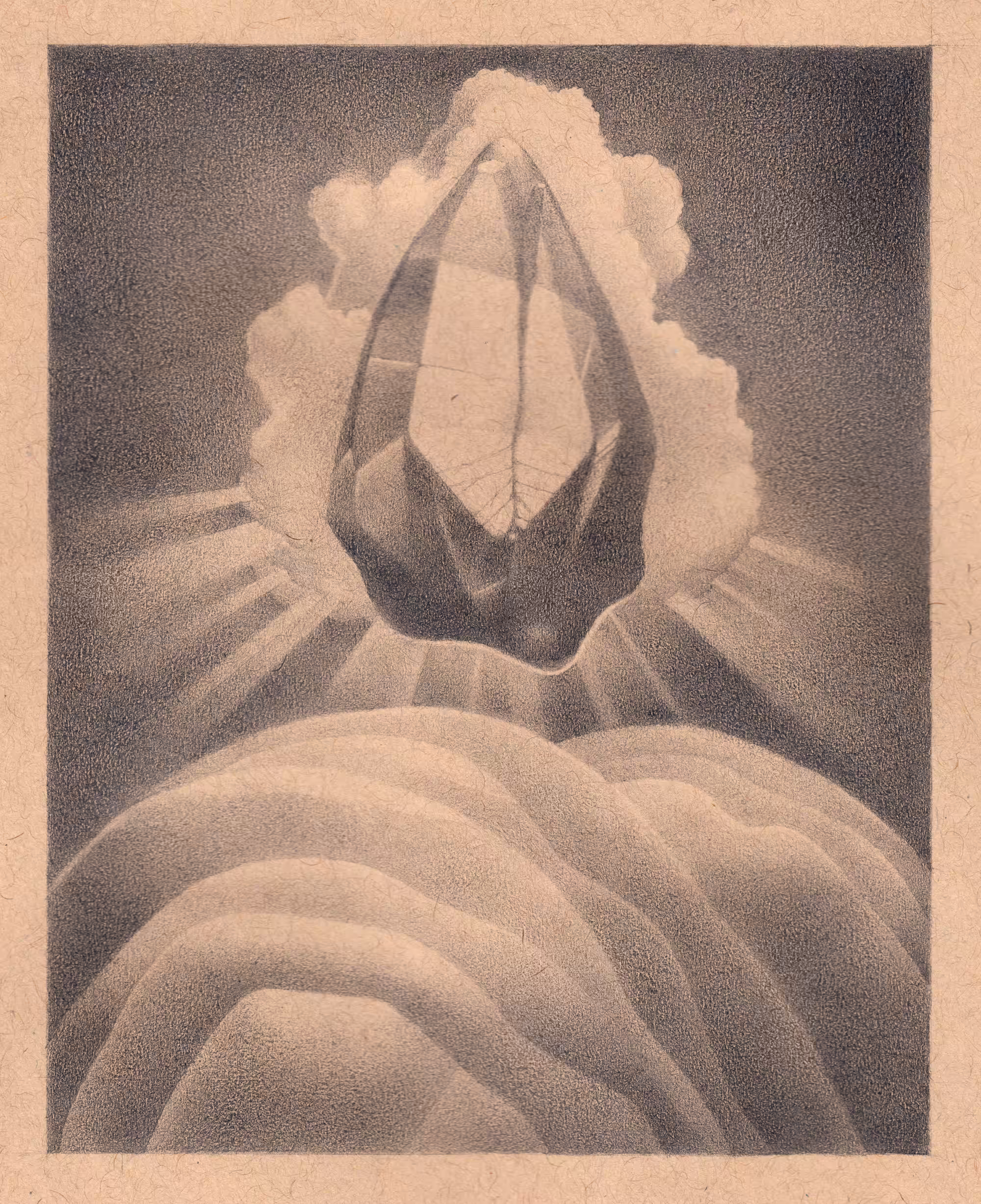 The Seed