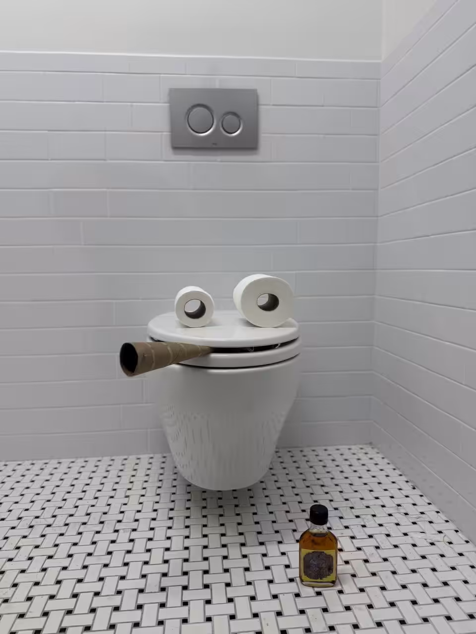 Pepe Toilets NYC #37