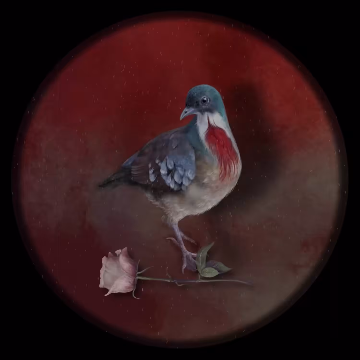 Song of a dove