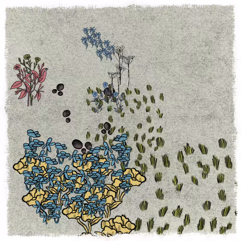 Gardens  #40