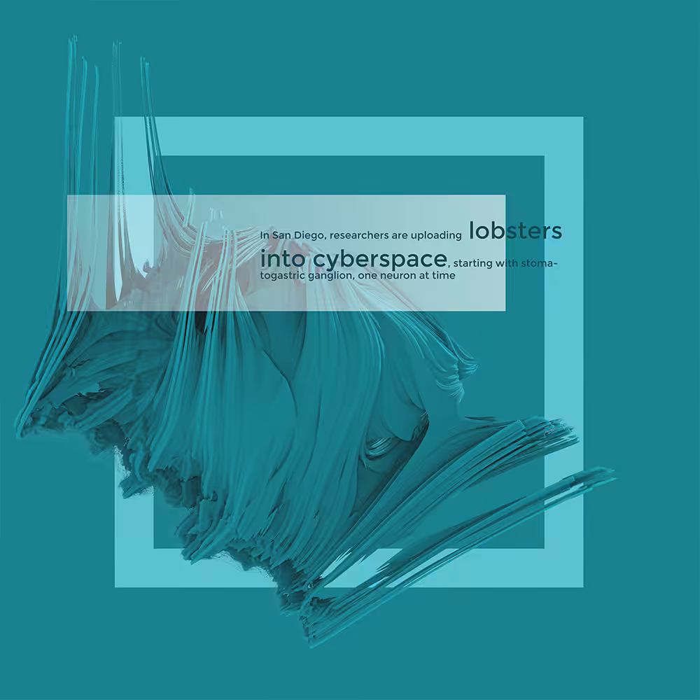 Lobsters in cyberspace