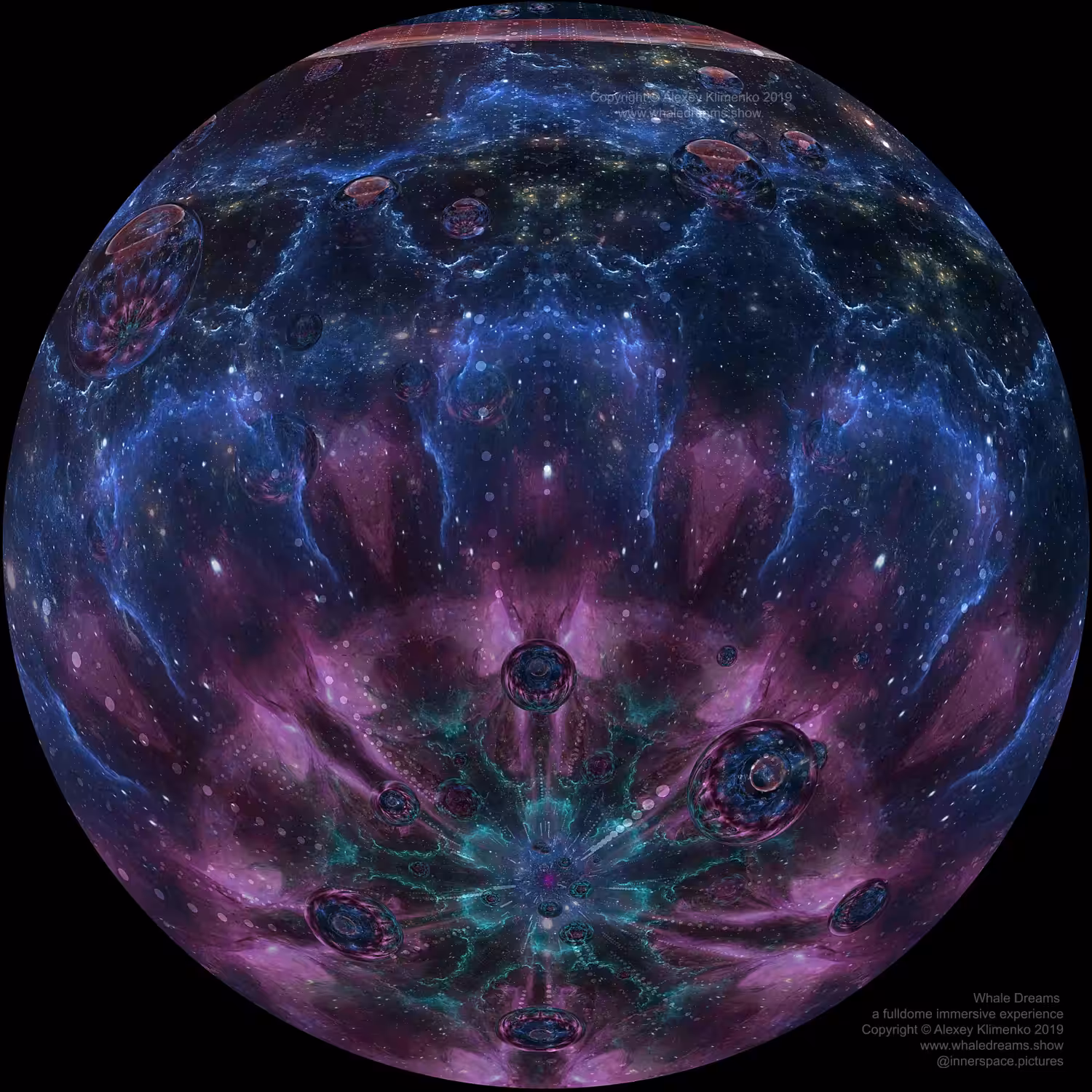 Whale Dreams _ Consciousness