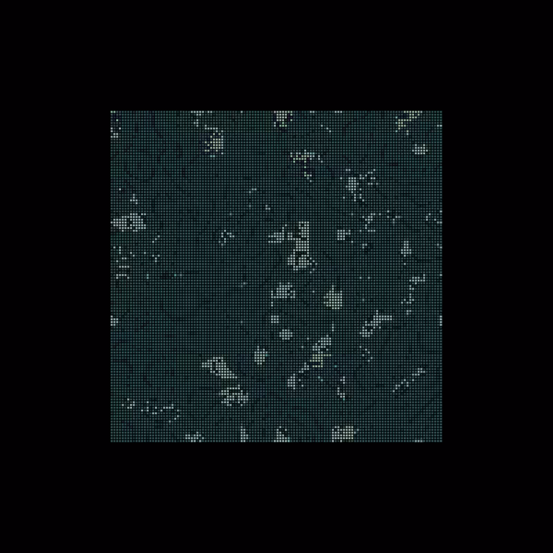 fractal memory cellular automata - FMCA #24