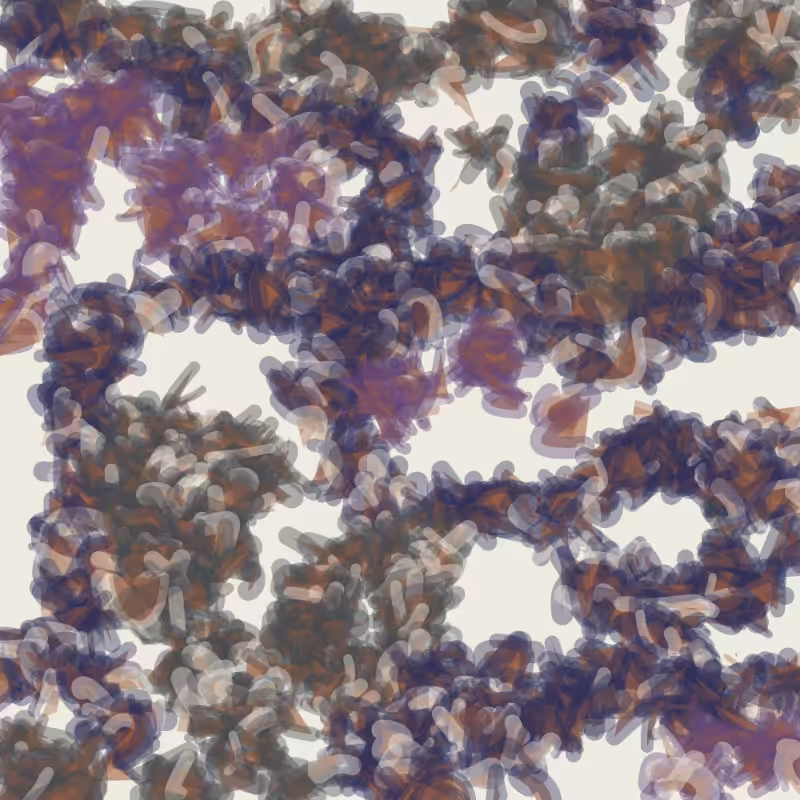 Petri 1500 v2 QHD  #393