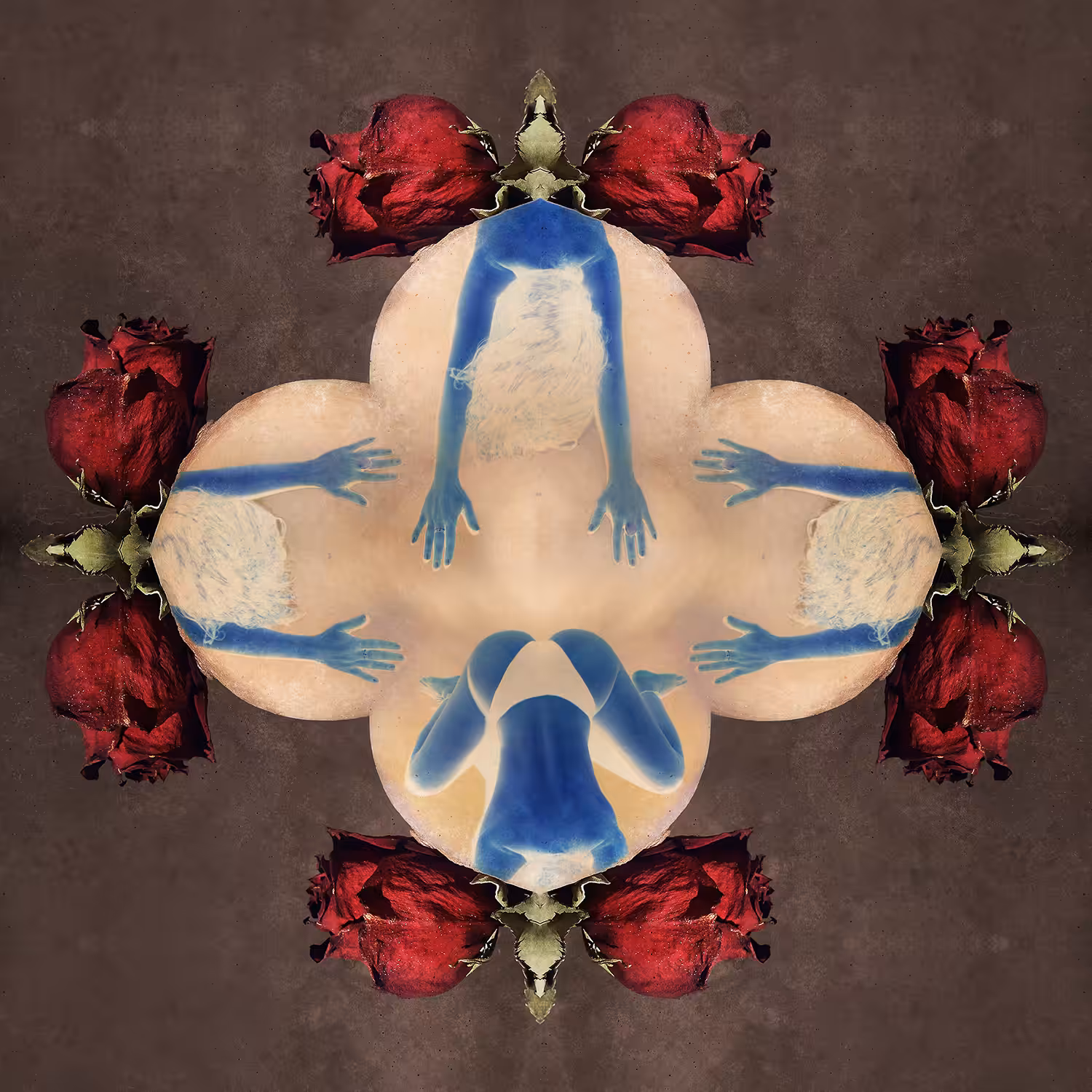 X-rays of My Kama Sutras  