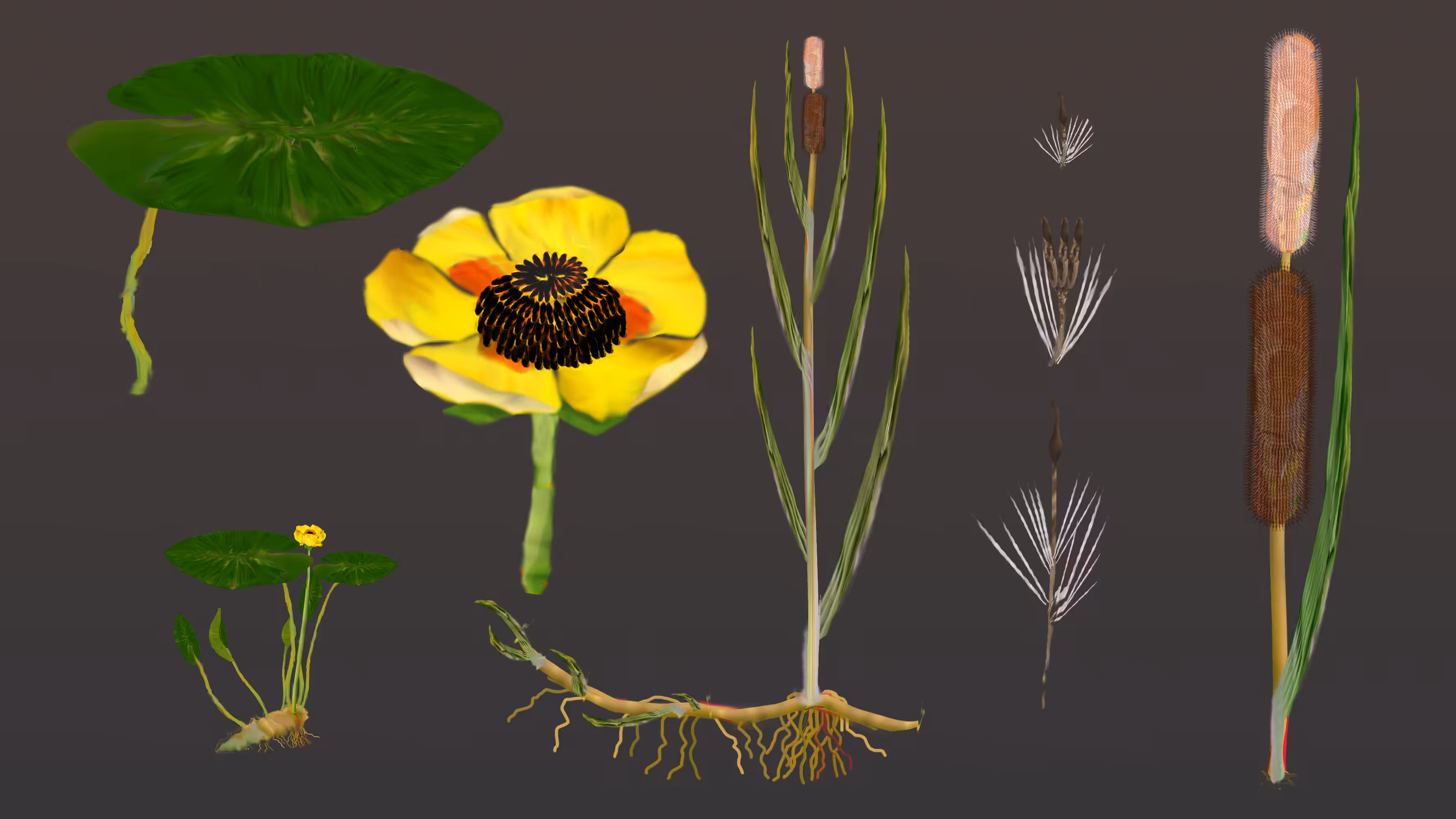 Remnant Bog 1.0
