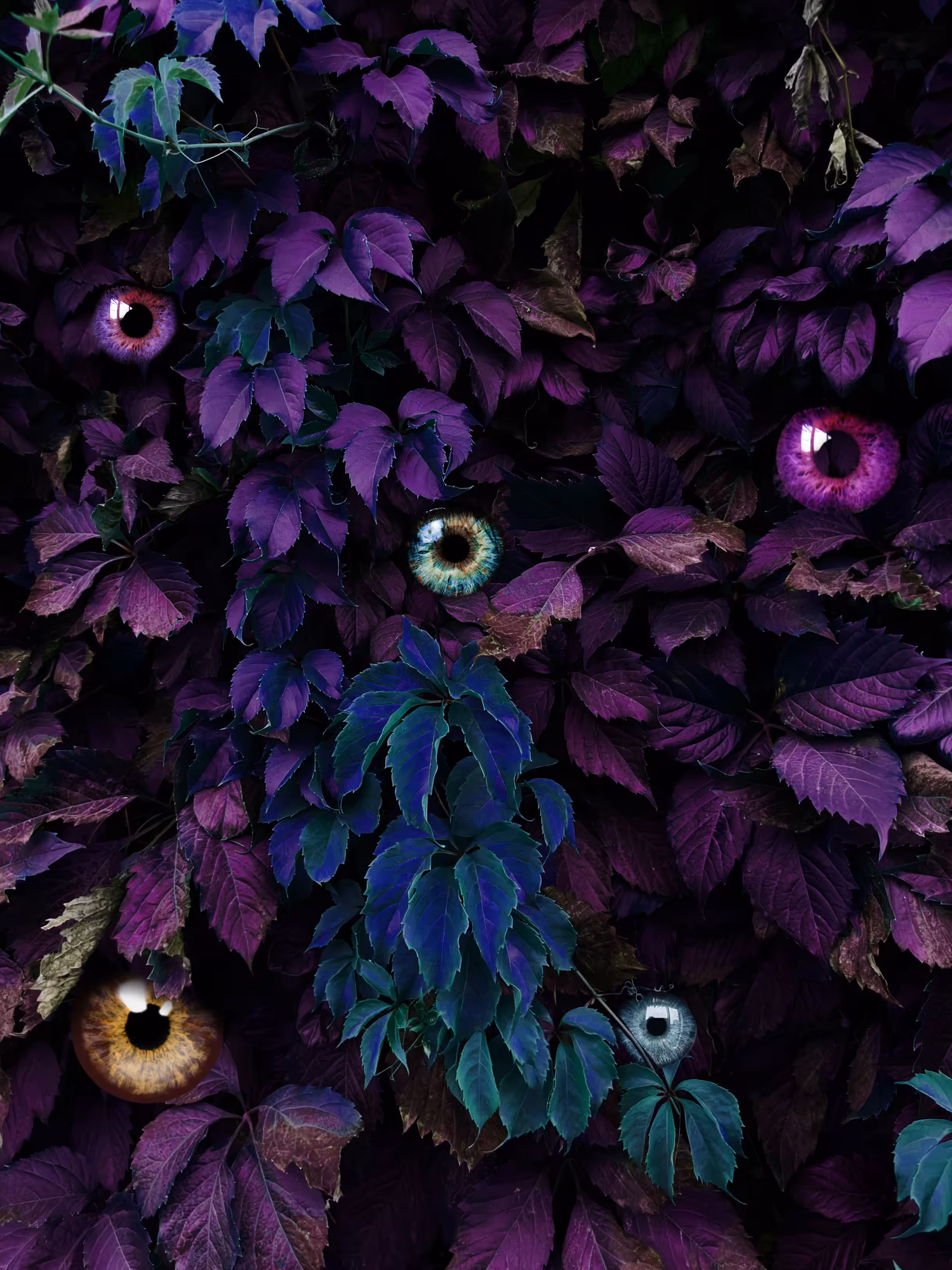 You are watched 