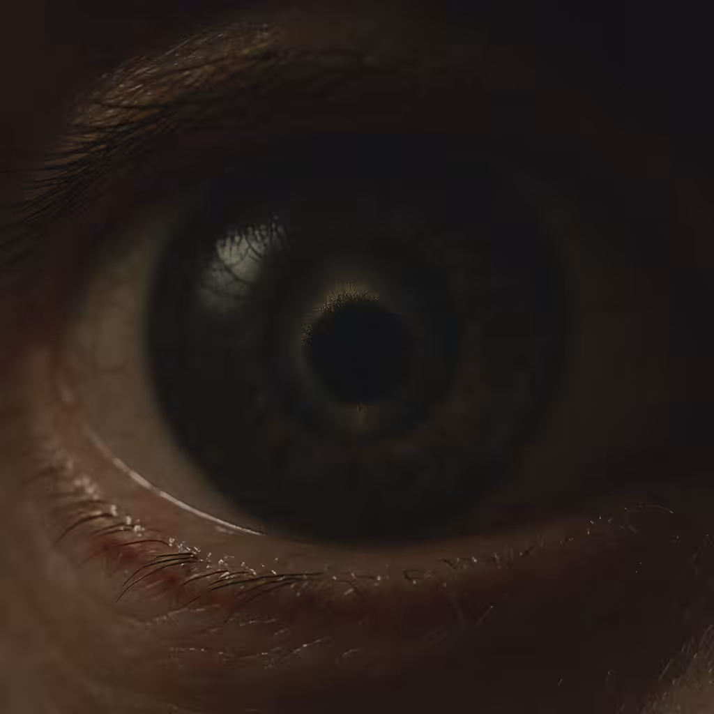 The Witness