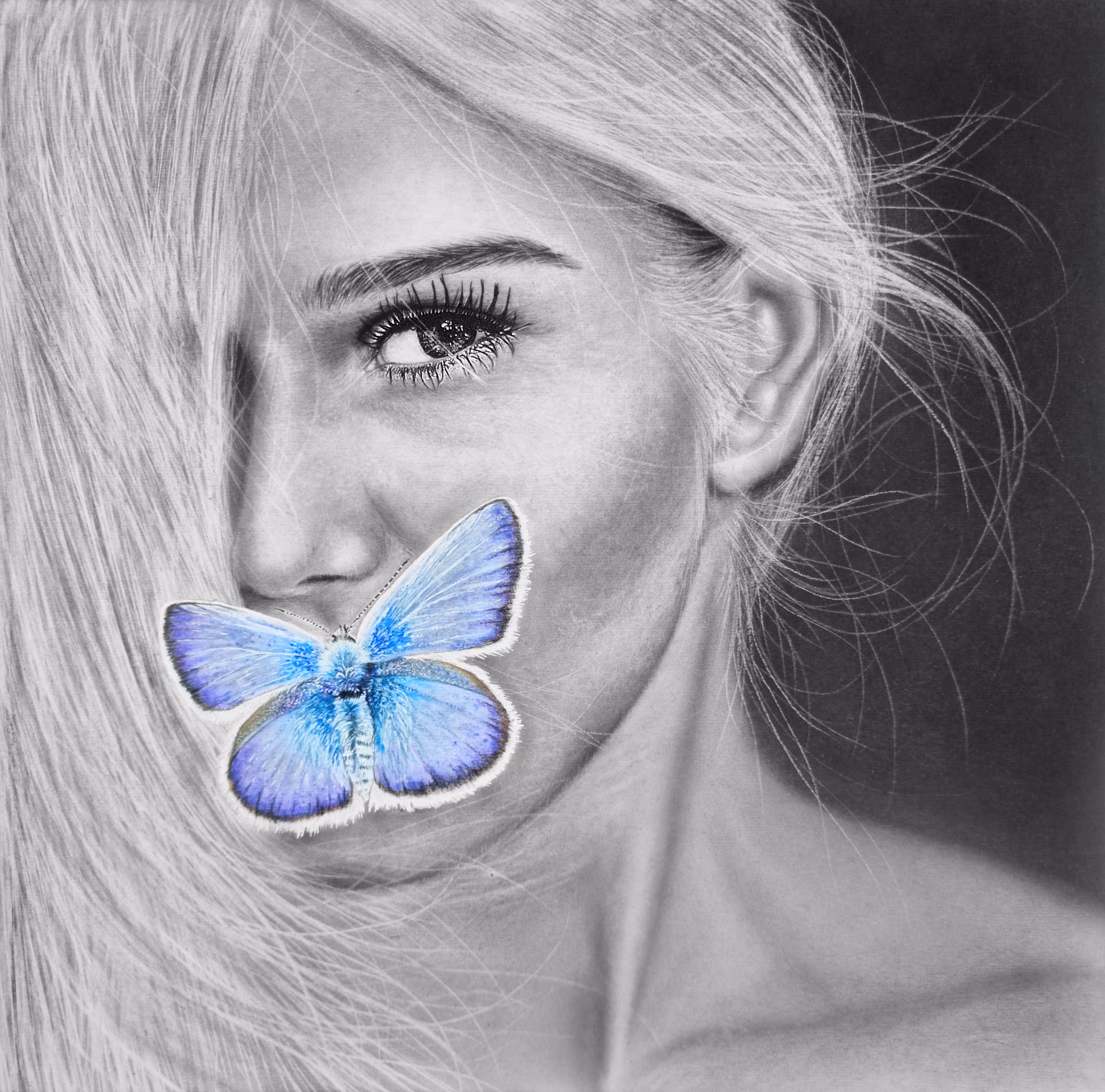 THE BUTTERFLY