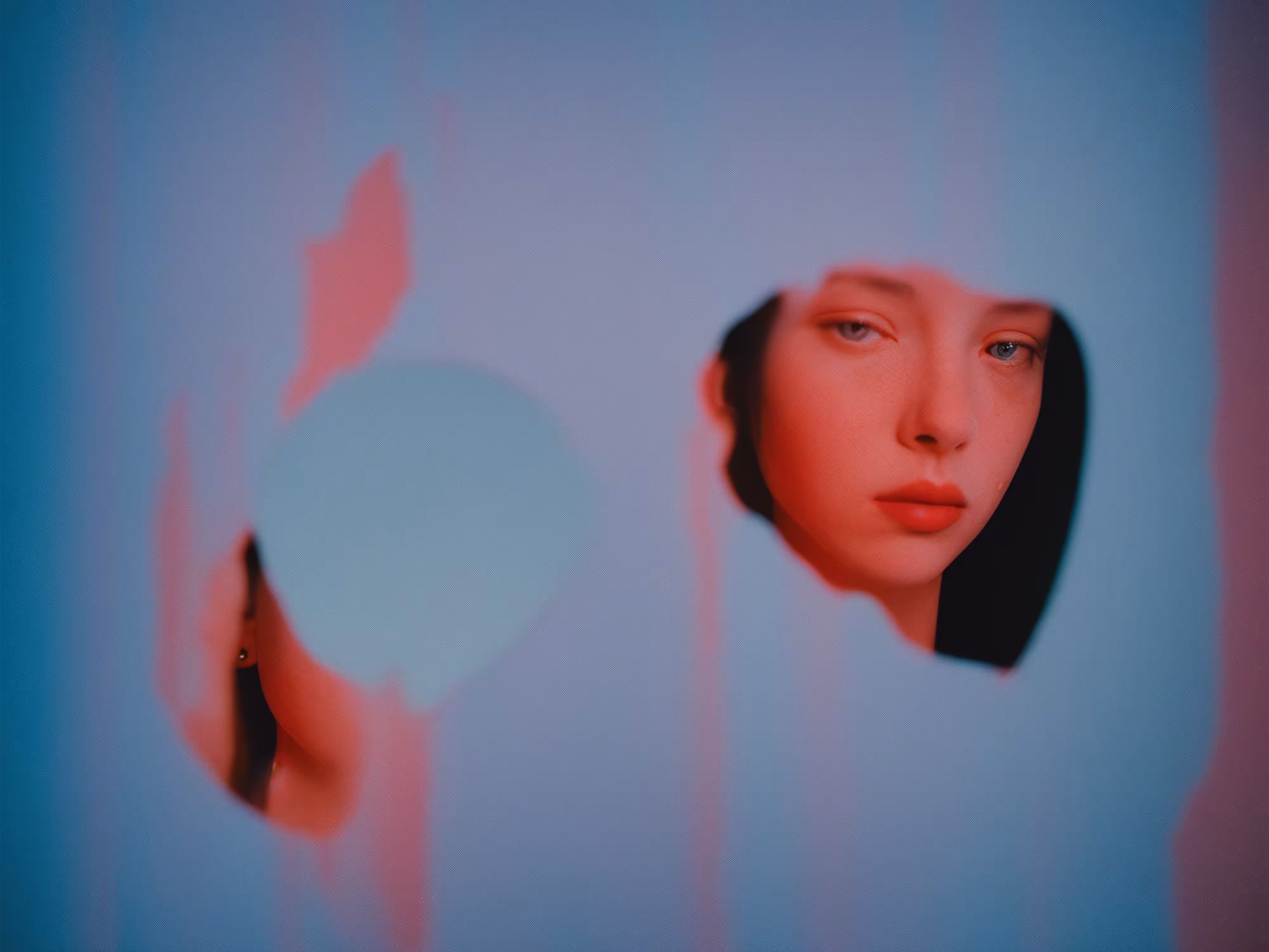 The Stranger in the Mirror