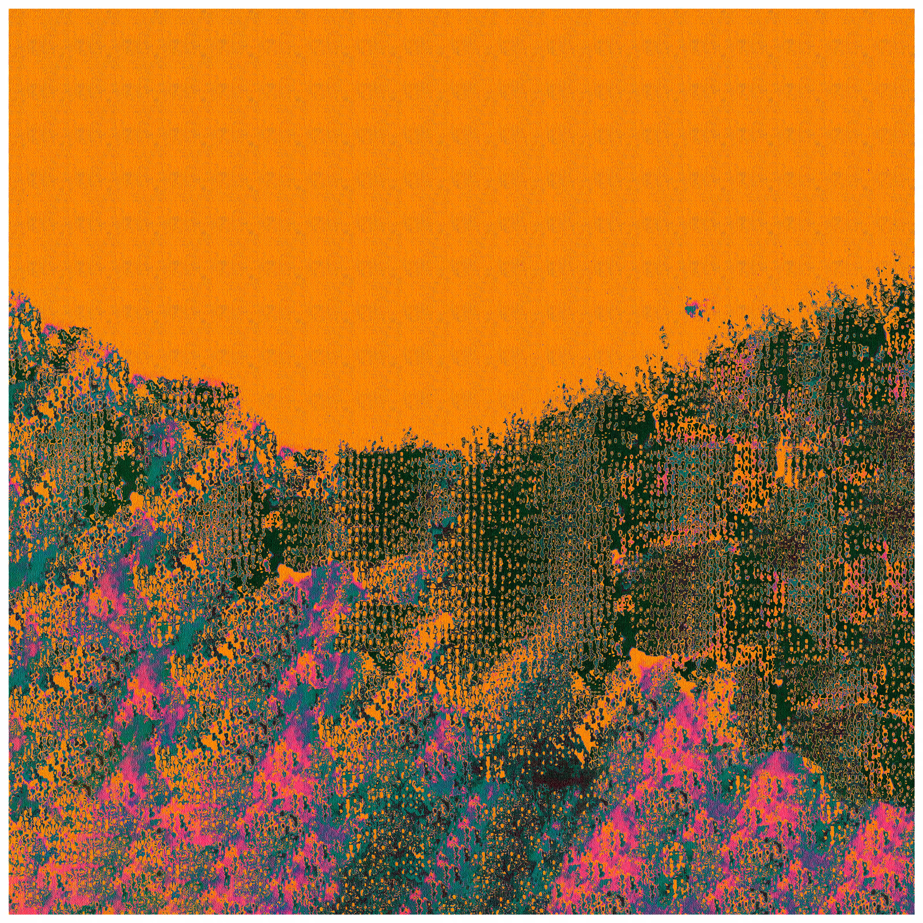 Wildflowers XL