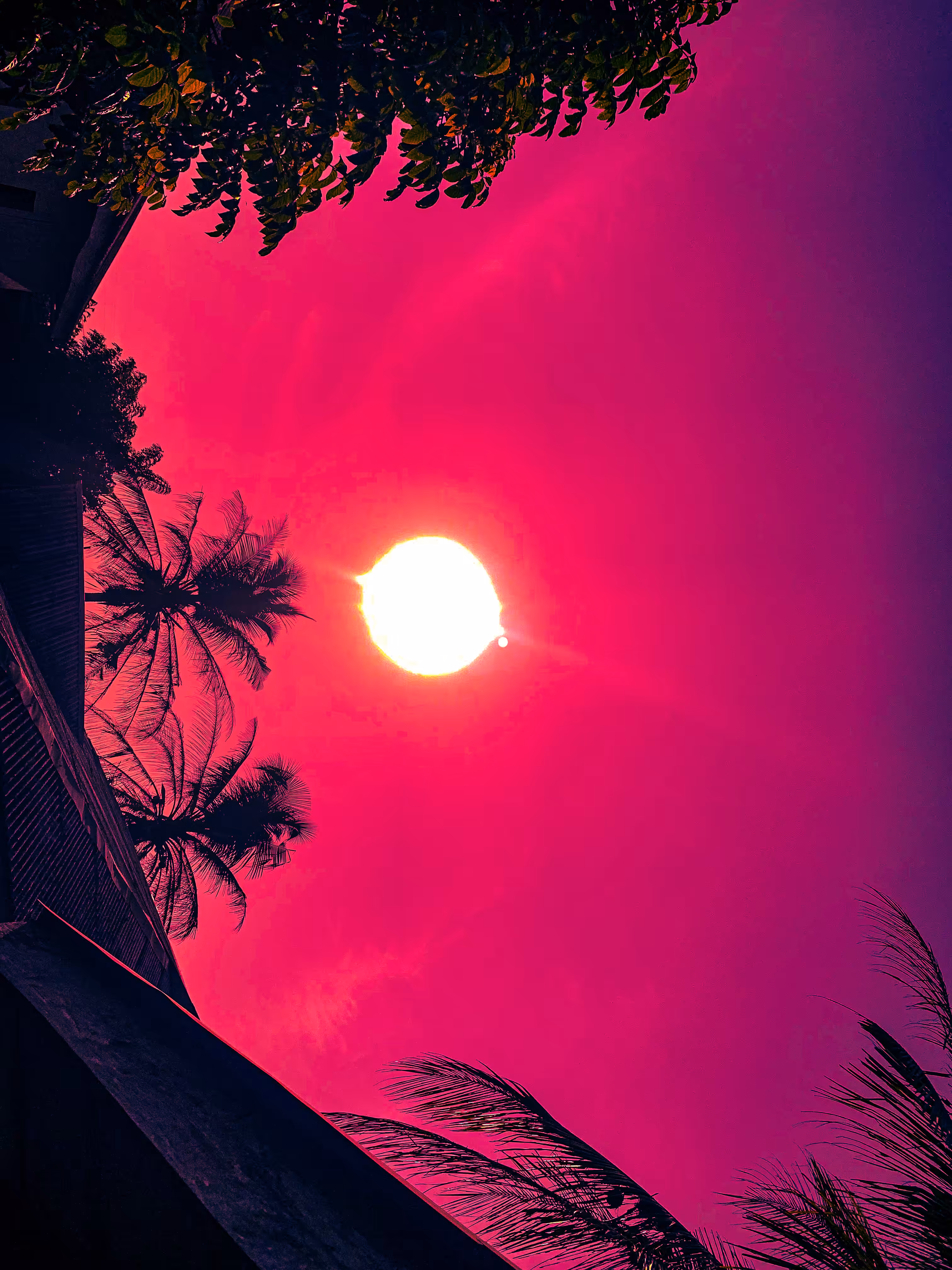 Red sky