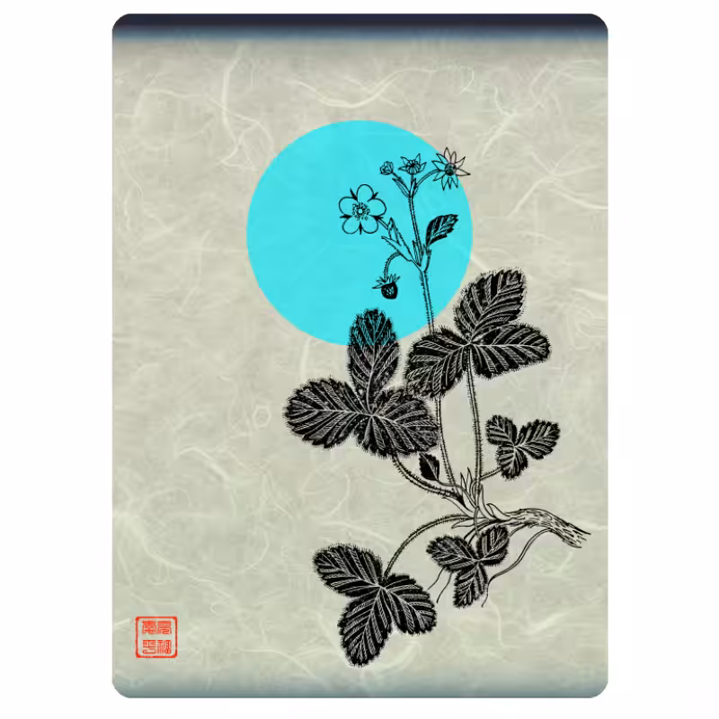 Zen flower card #39