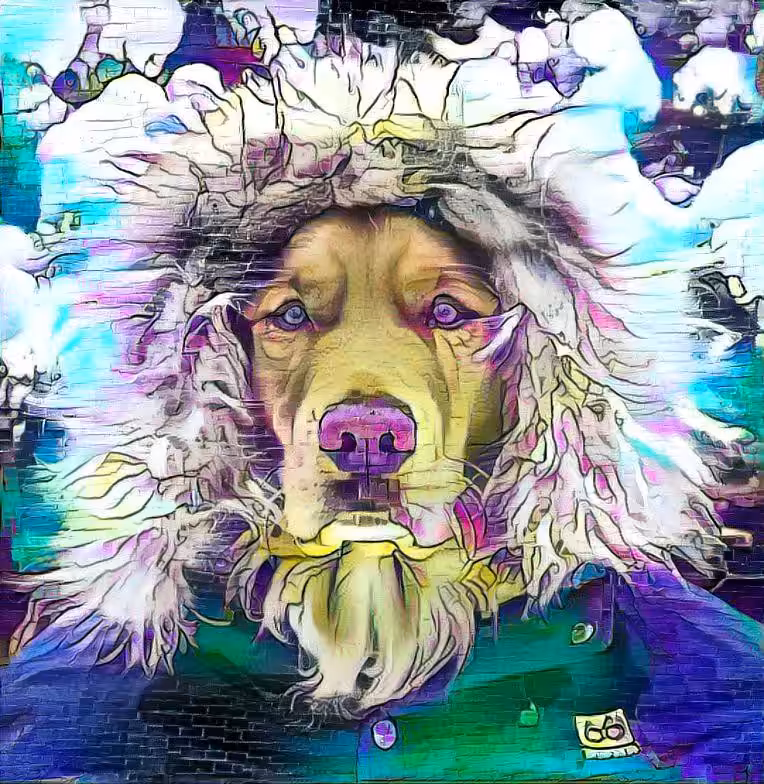Coral Dog