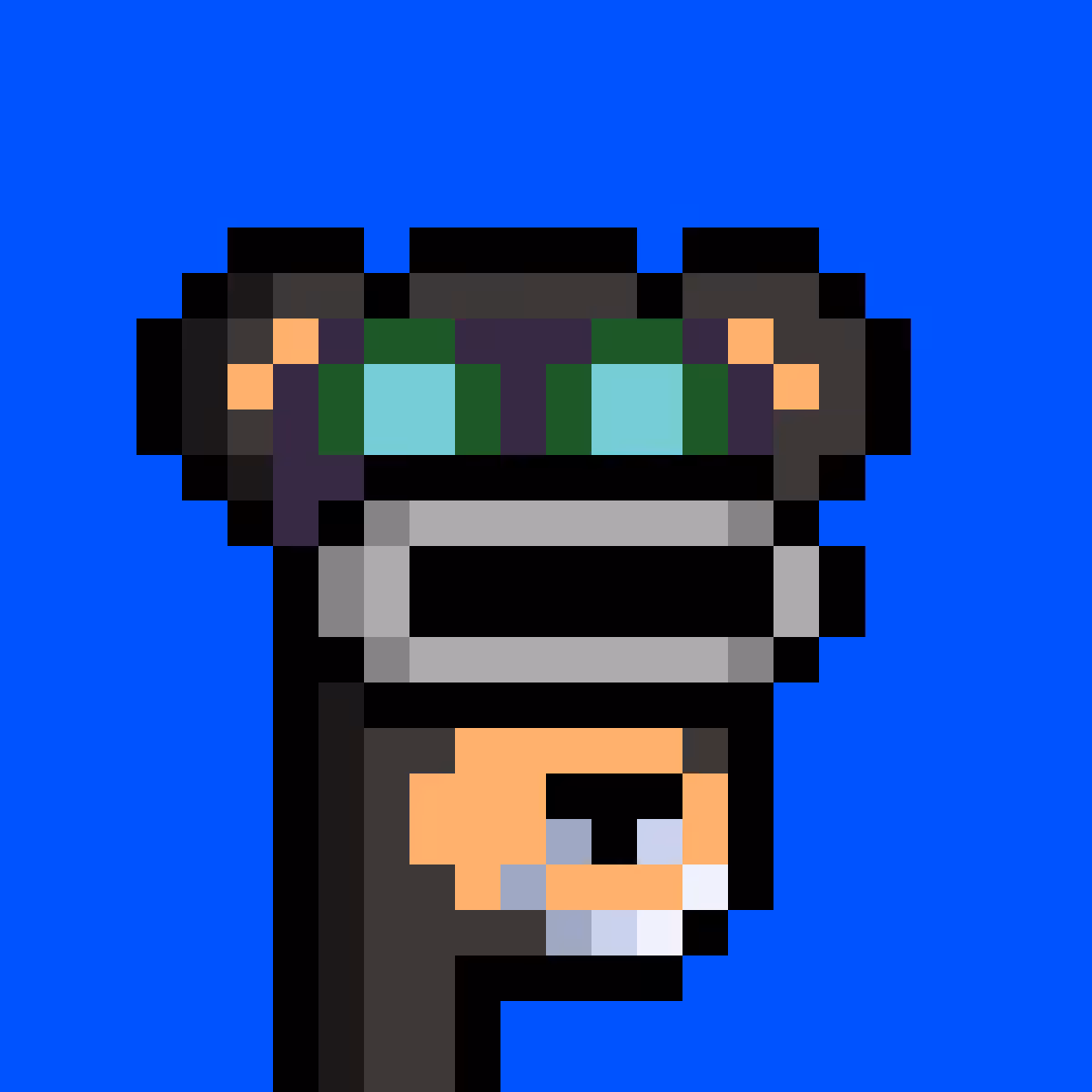 BearPunks #4007