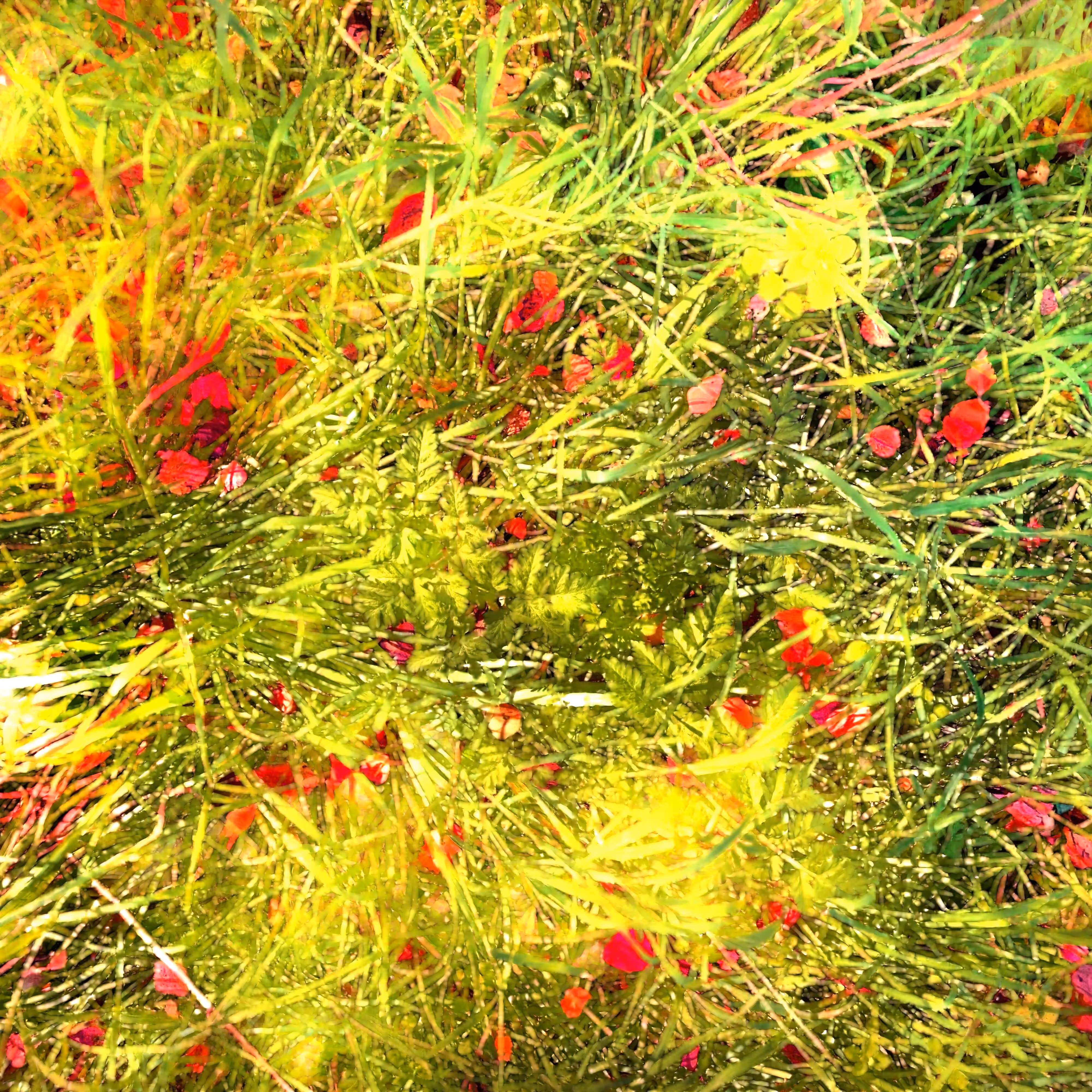 Autonomous Forest Plots: Plot u329hvjdf