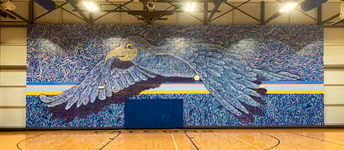 Out of Office Mural Tour '21: Iowa City Finished Wall - Falcon!
