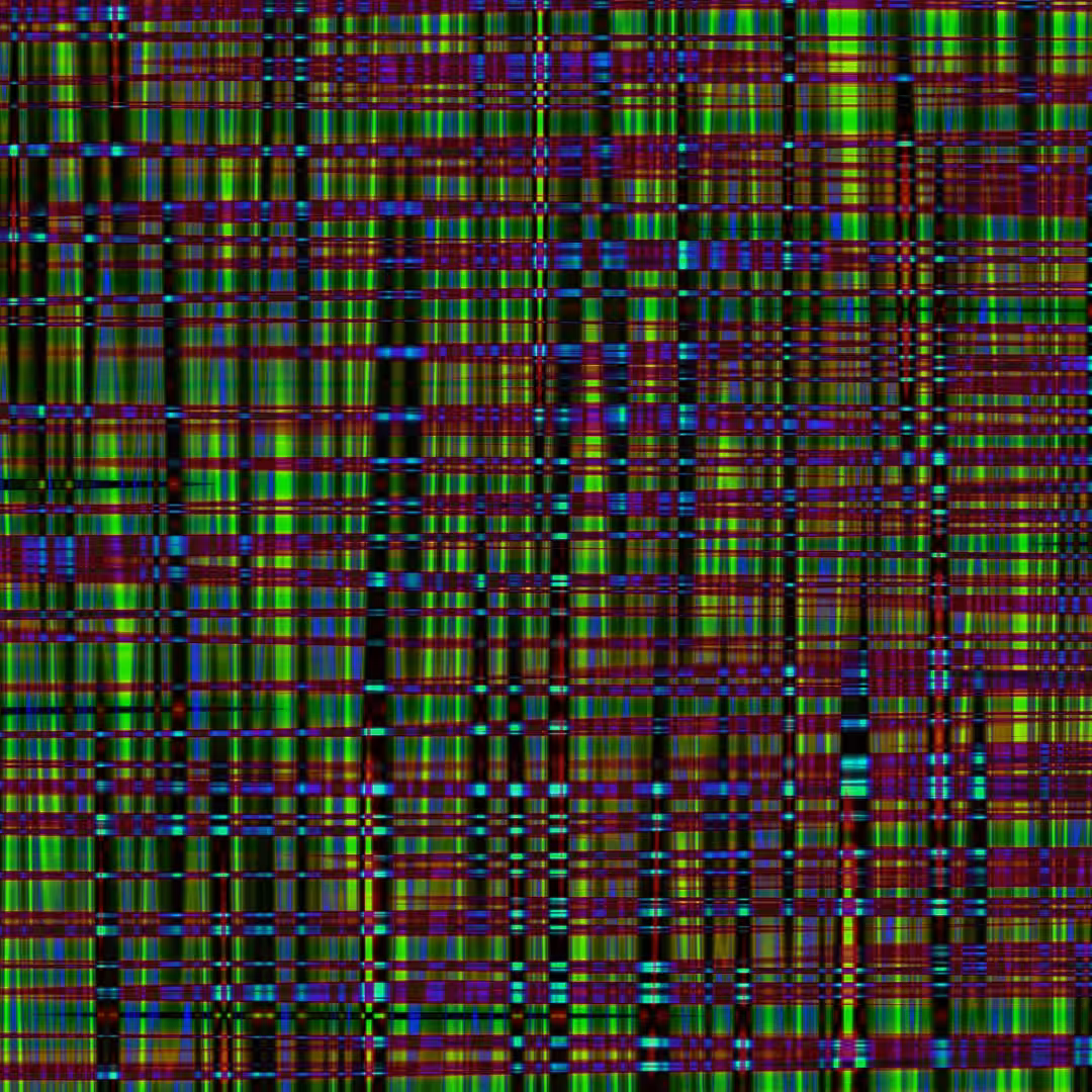 Weft 04