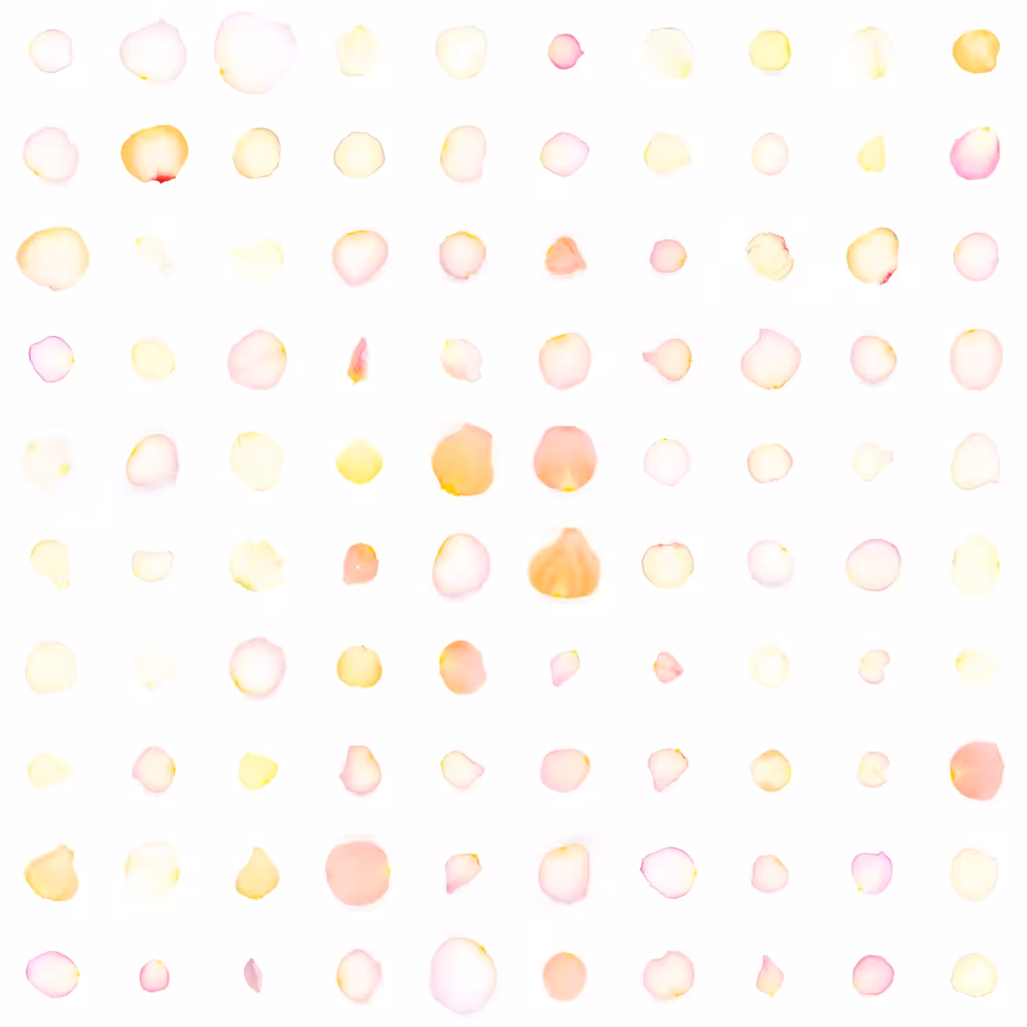 Infinite Petals 10x10#10040