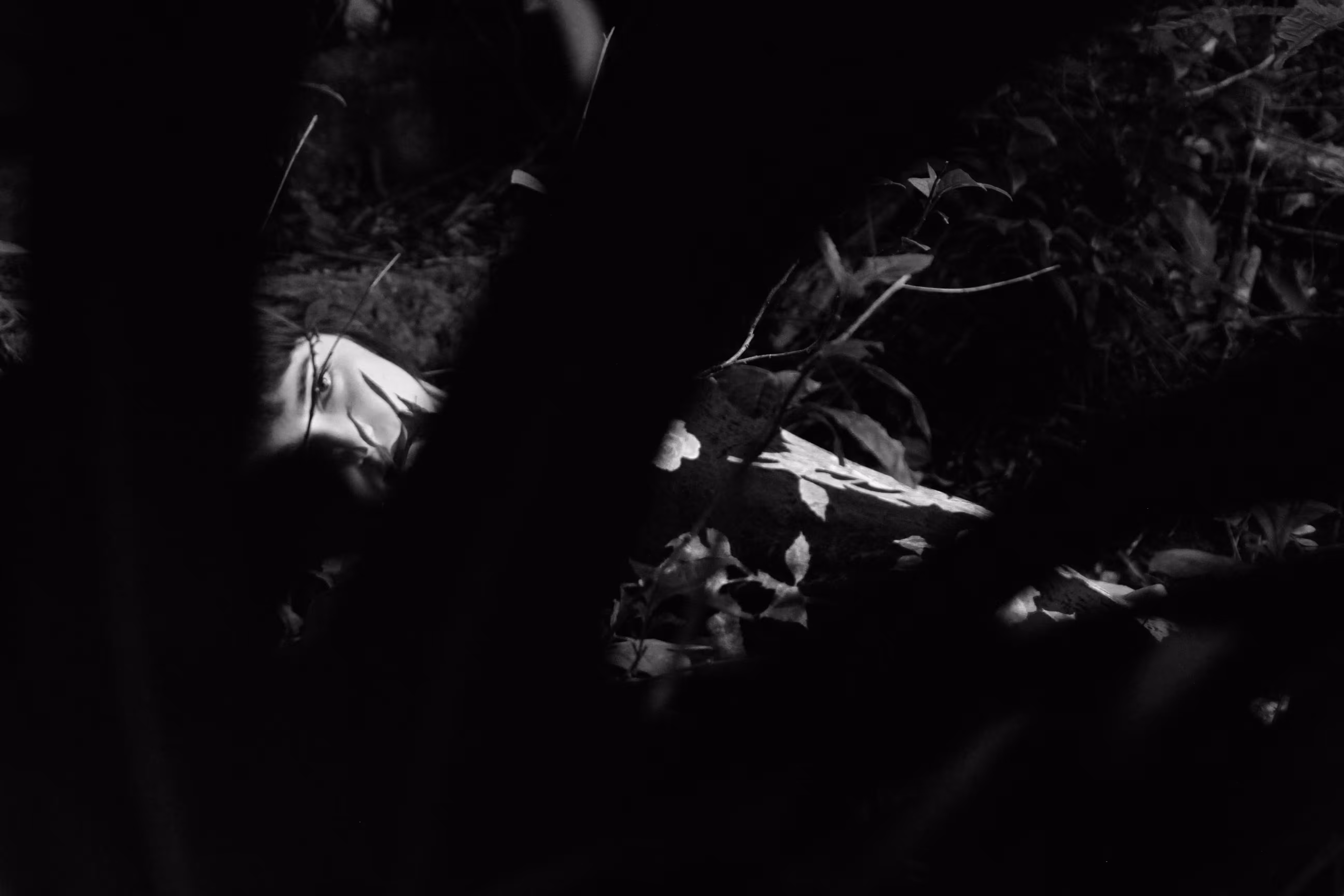 Fallen fruit 