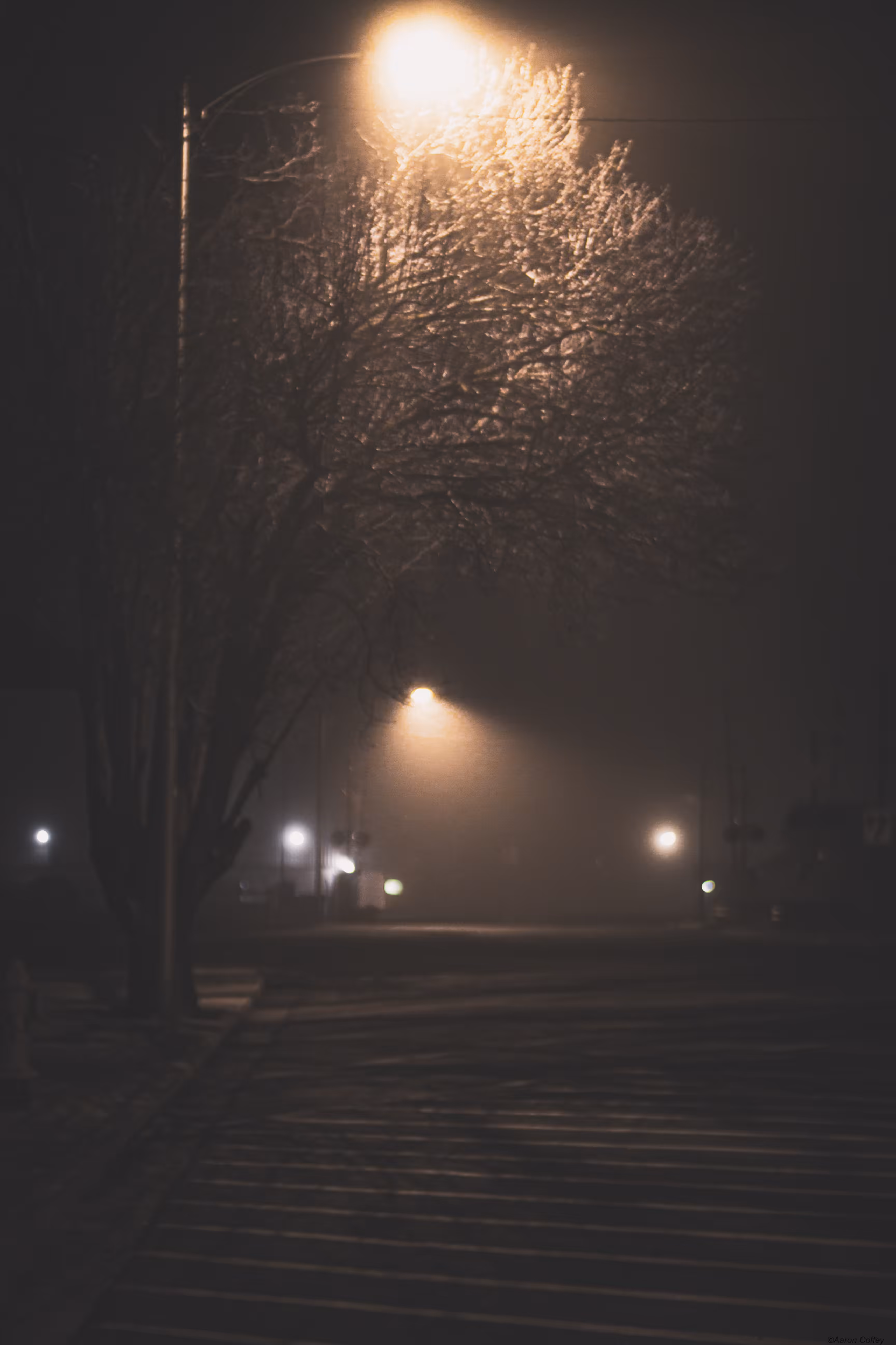 Foggy Nights on Main Street