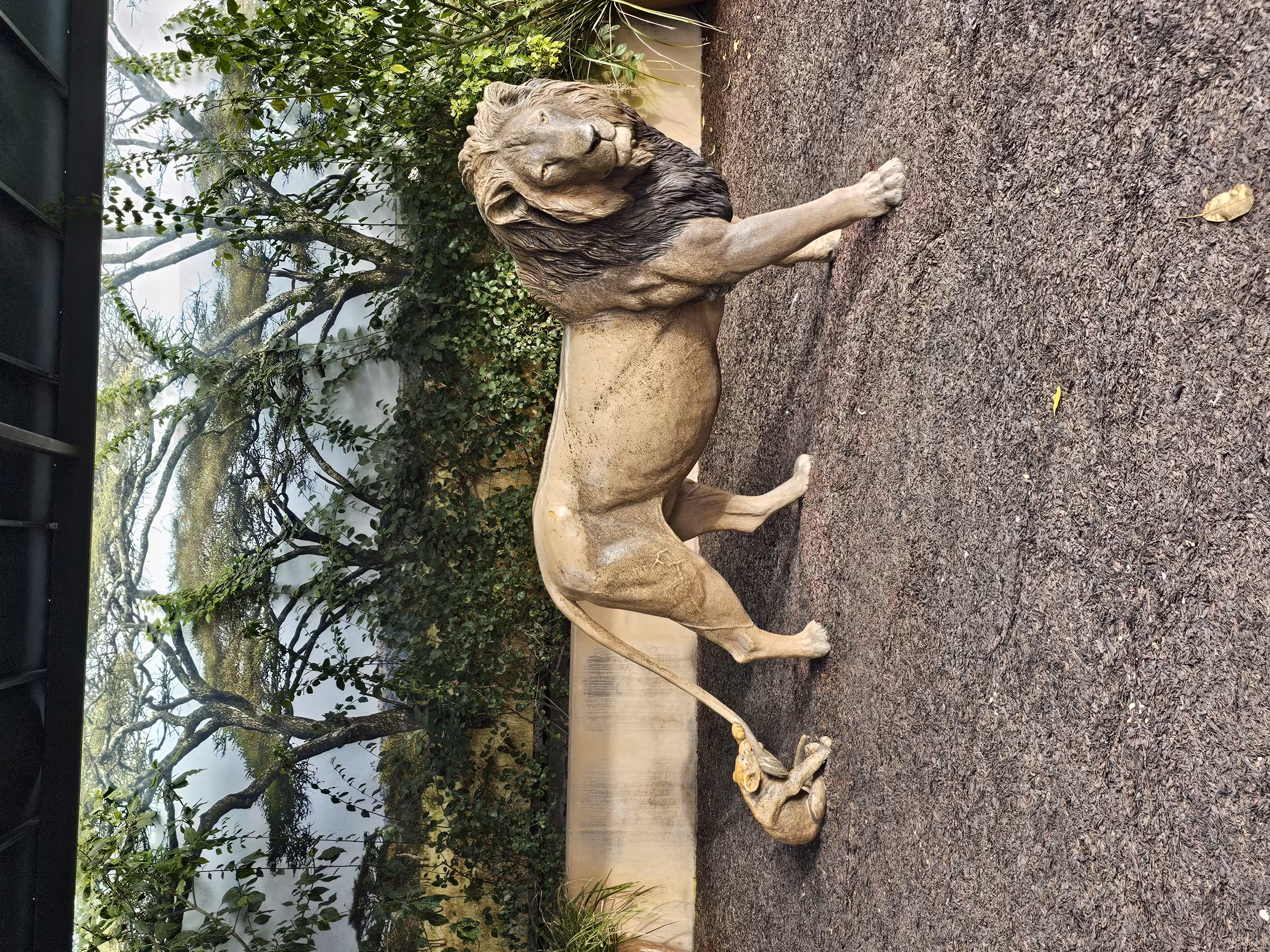 Cute Lion Statue at San Diego Zoo 
