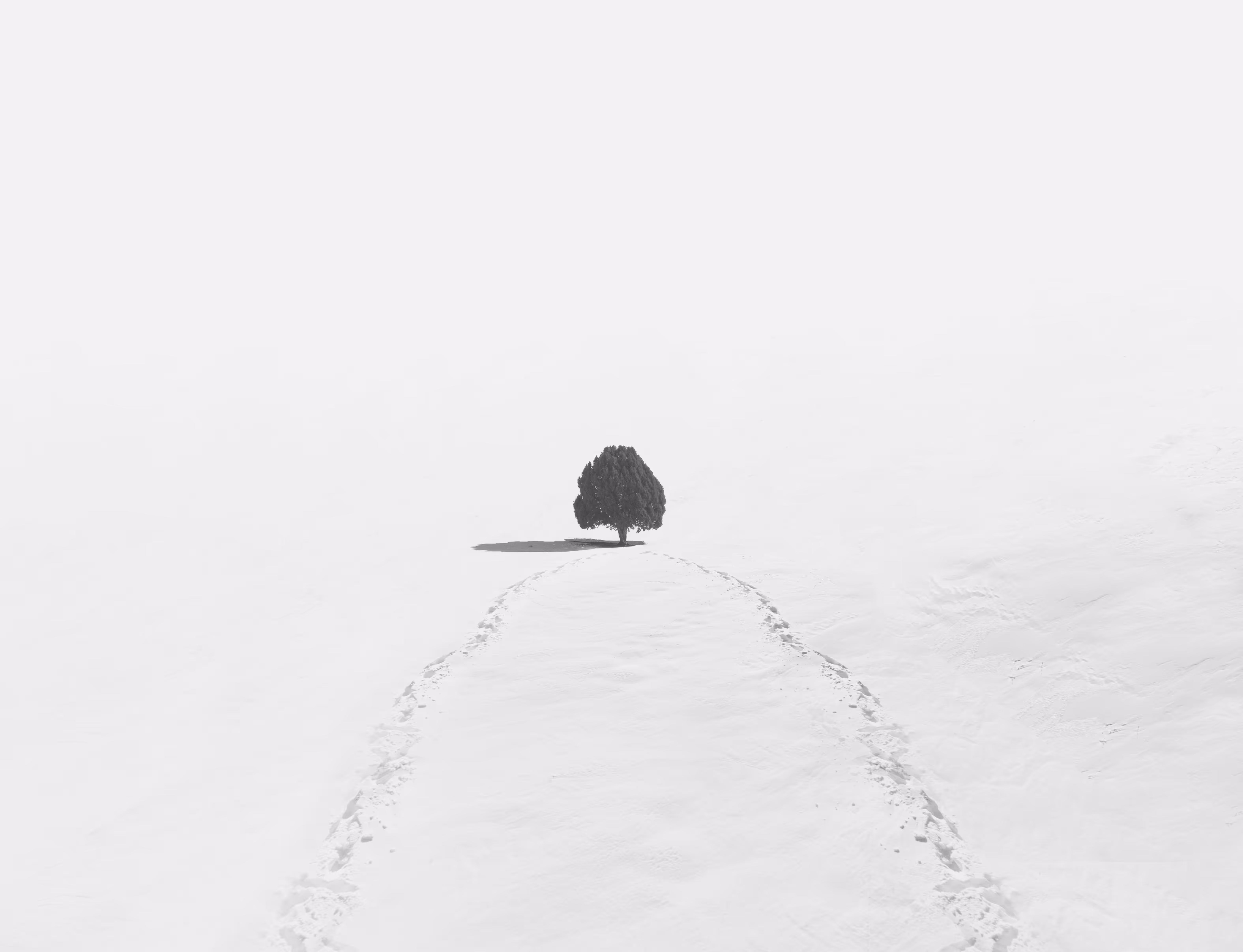 Resilient Solitude