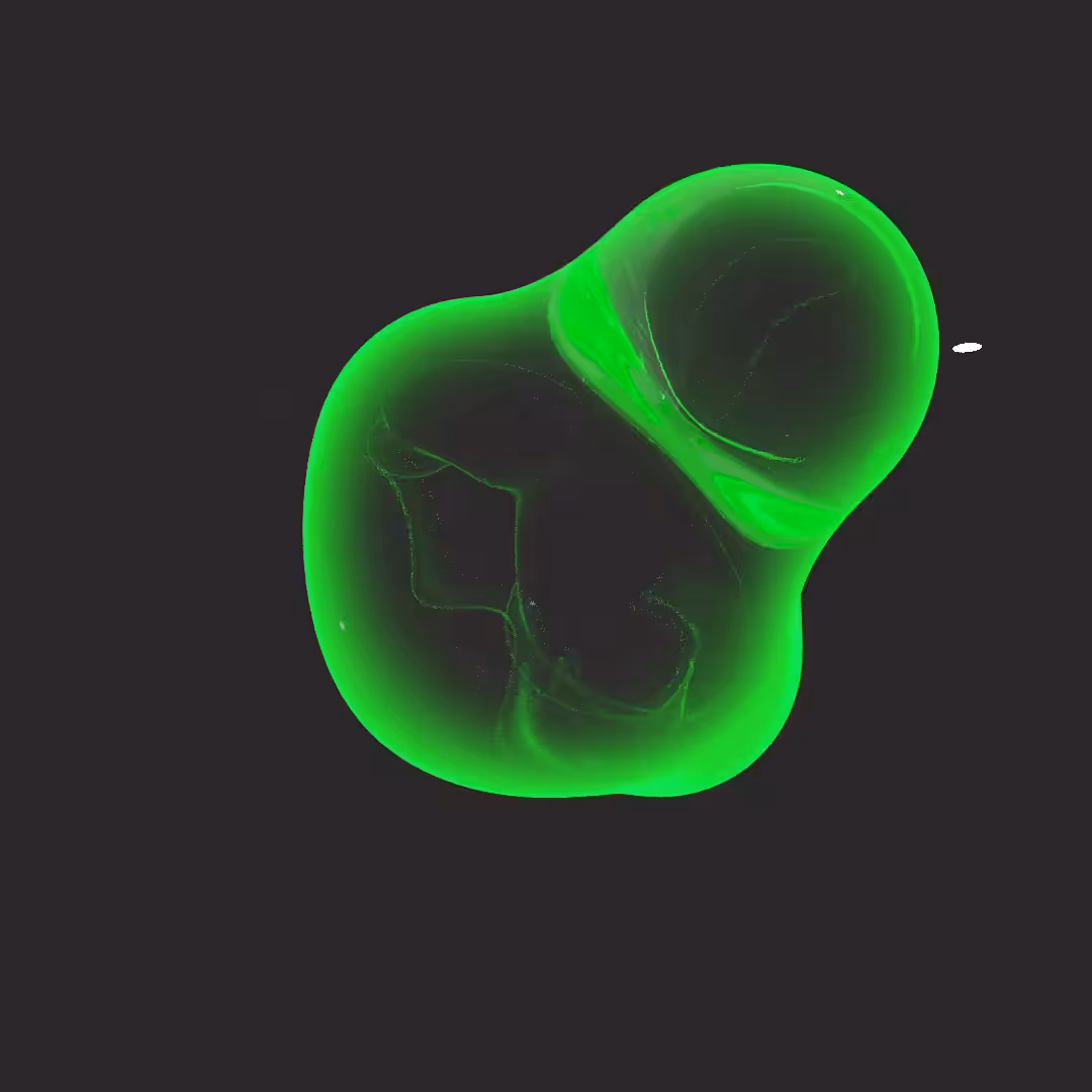 Anaphase