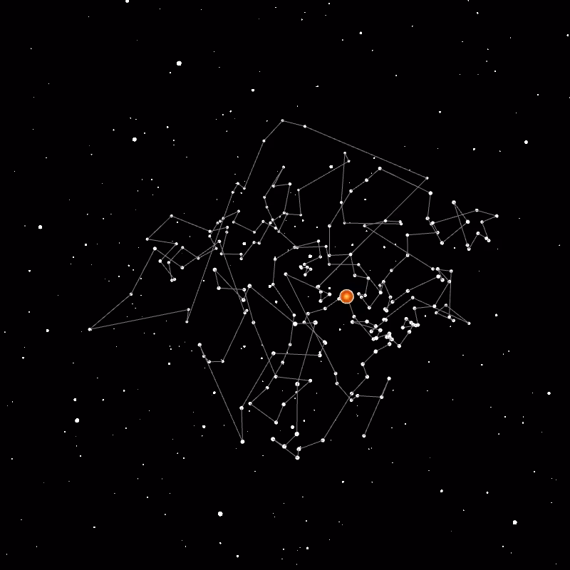 Wallet Constellation - 13