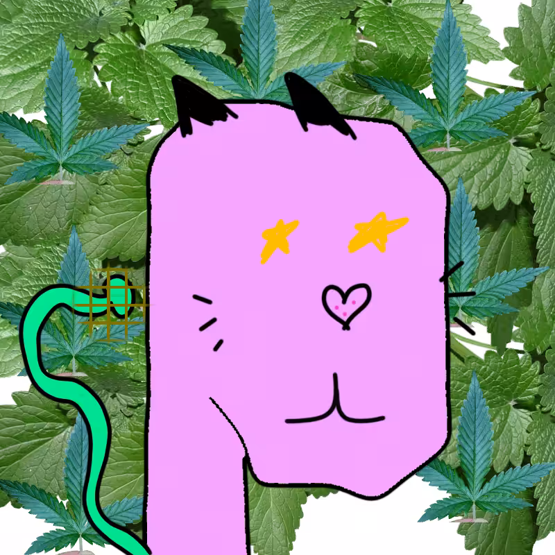 hi CAT lucas #17