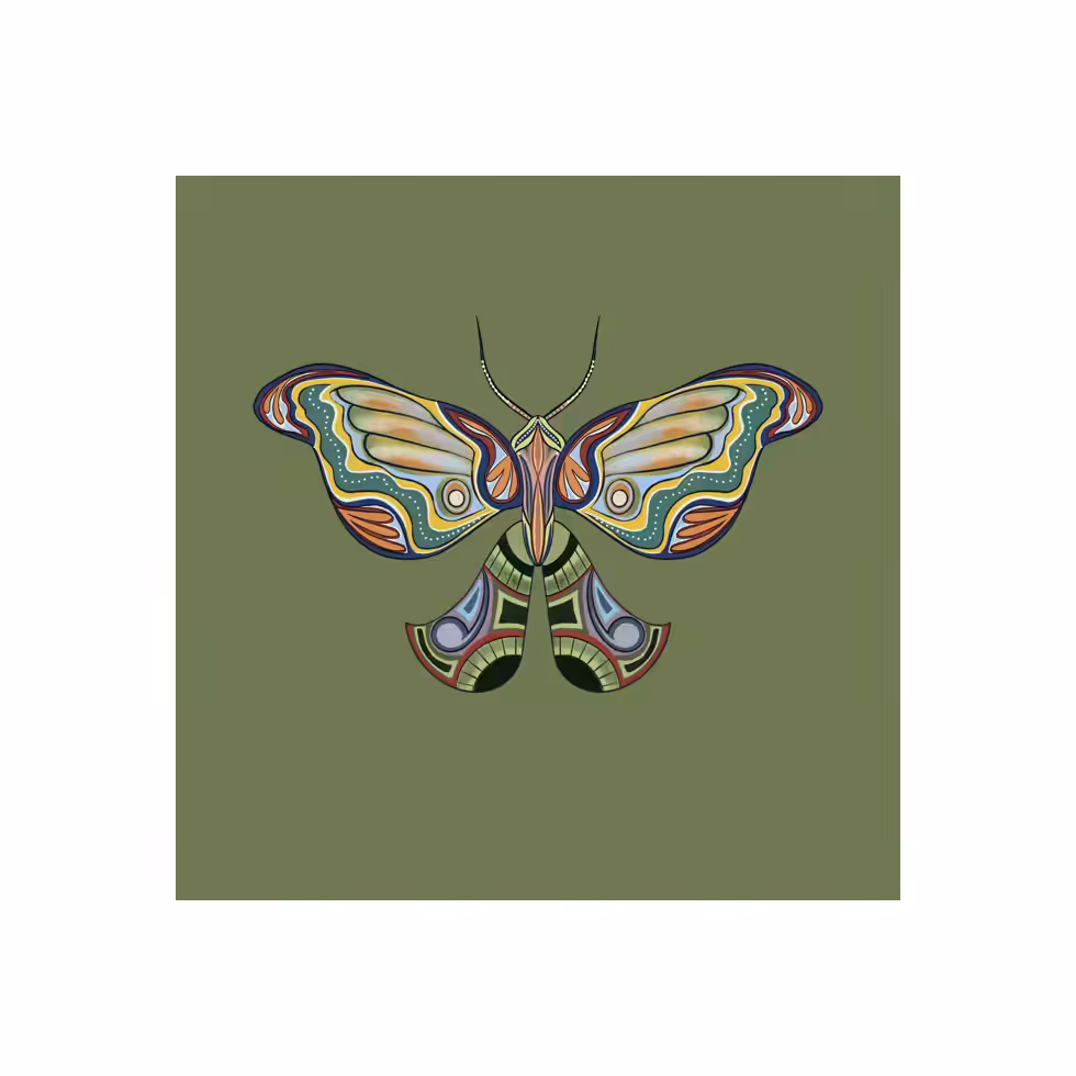 The Moth Experiment  #28