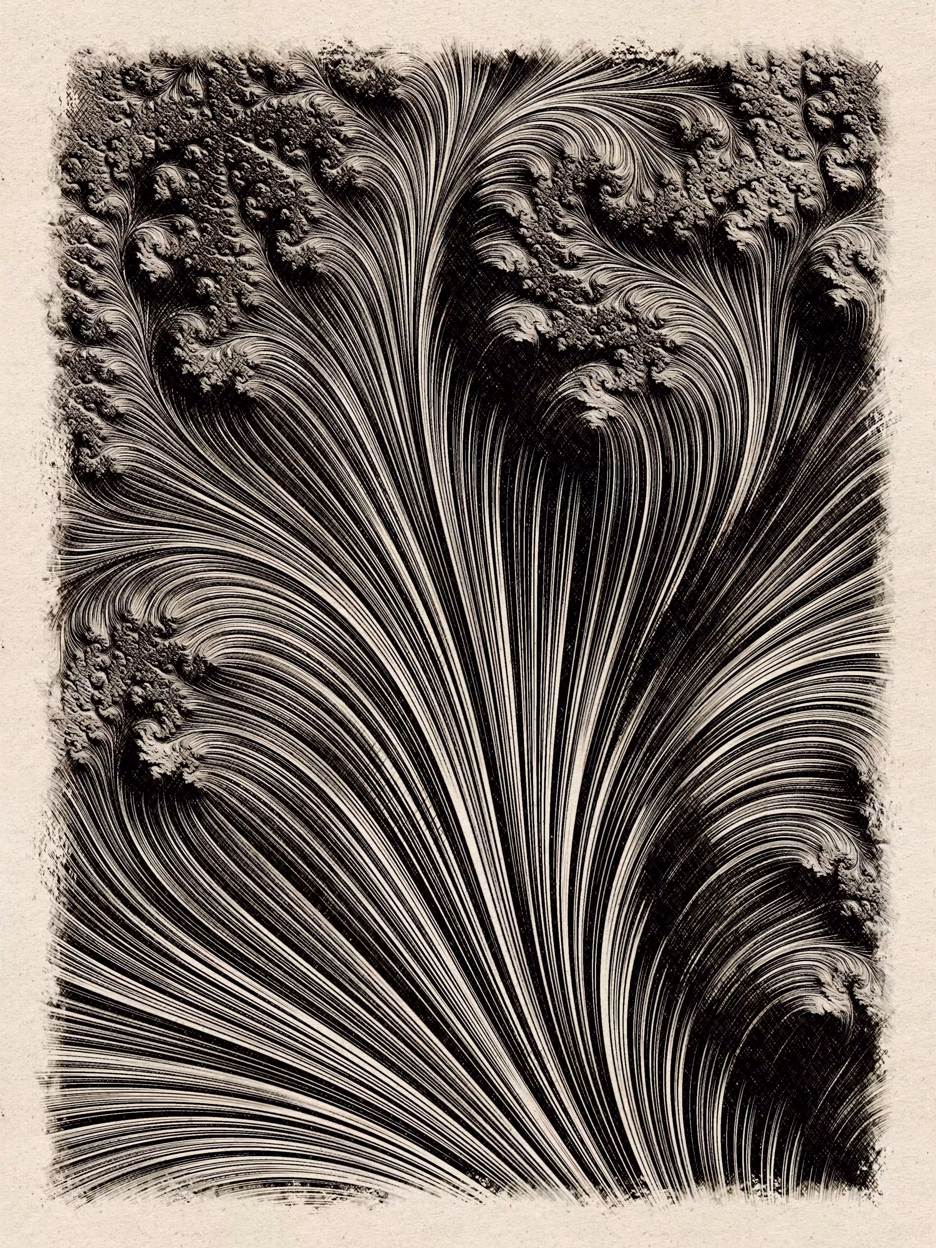 Flowers Sketching - Generative Art