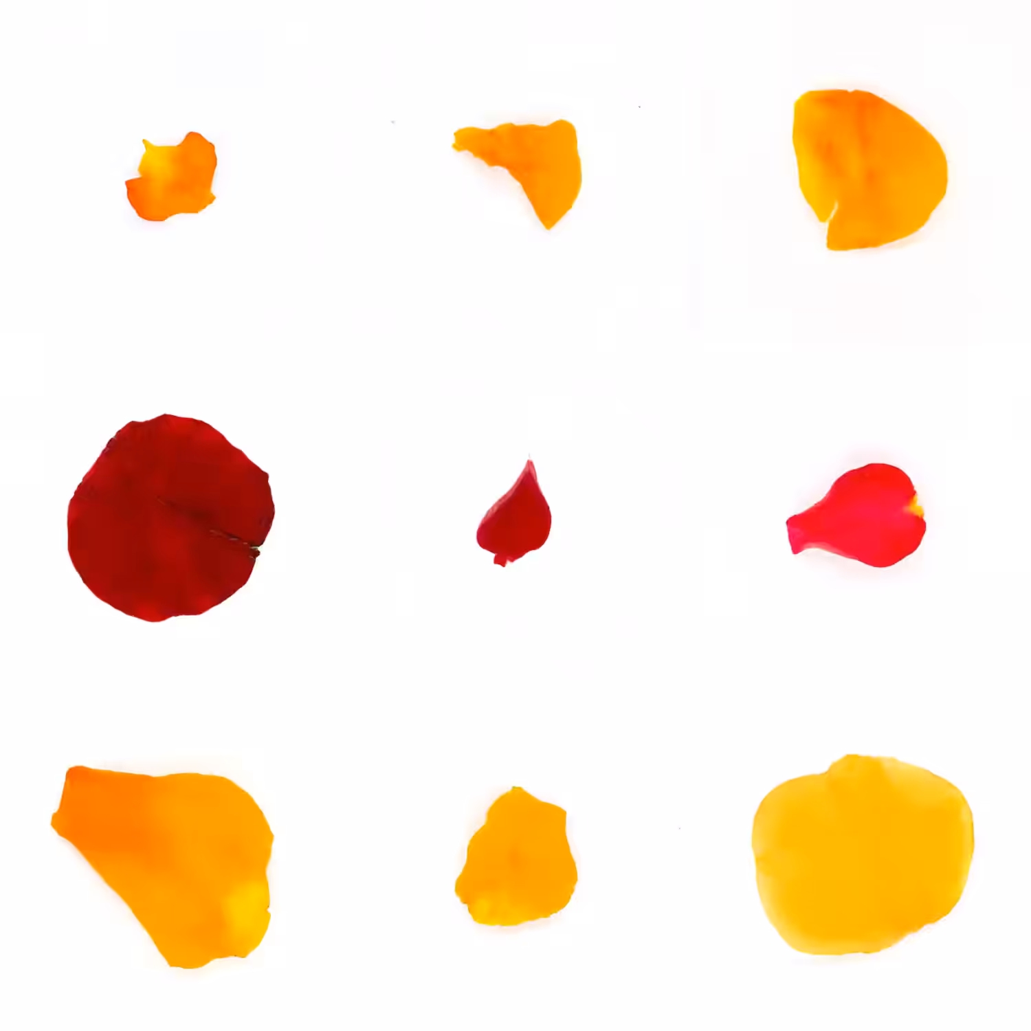 Infinite Petals 3x3#847
