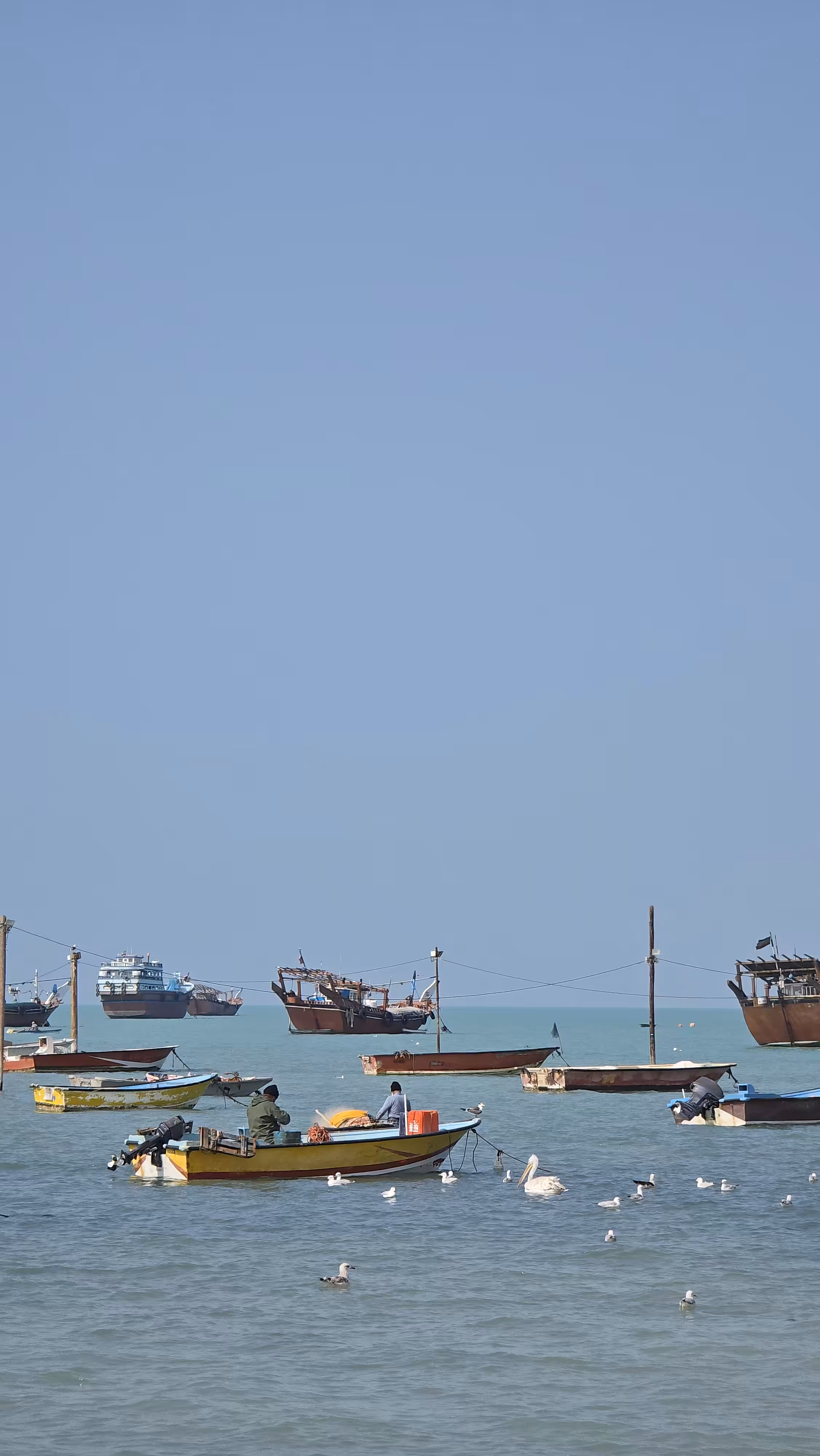 Sea
