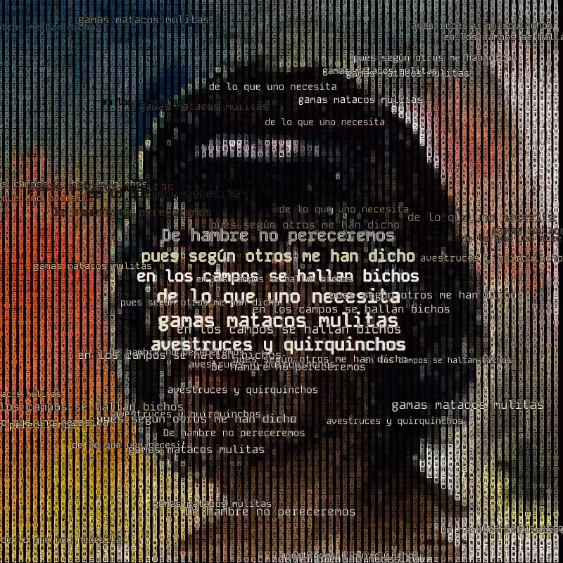 A hacker in the Pampas #47