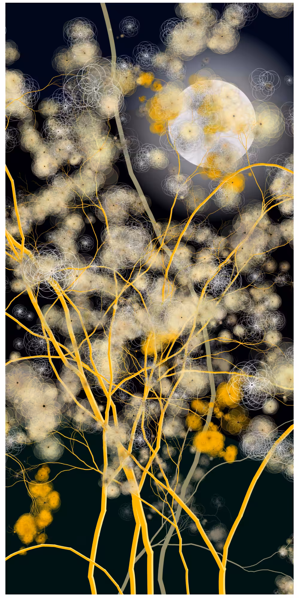 September Mond #31
