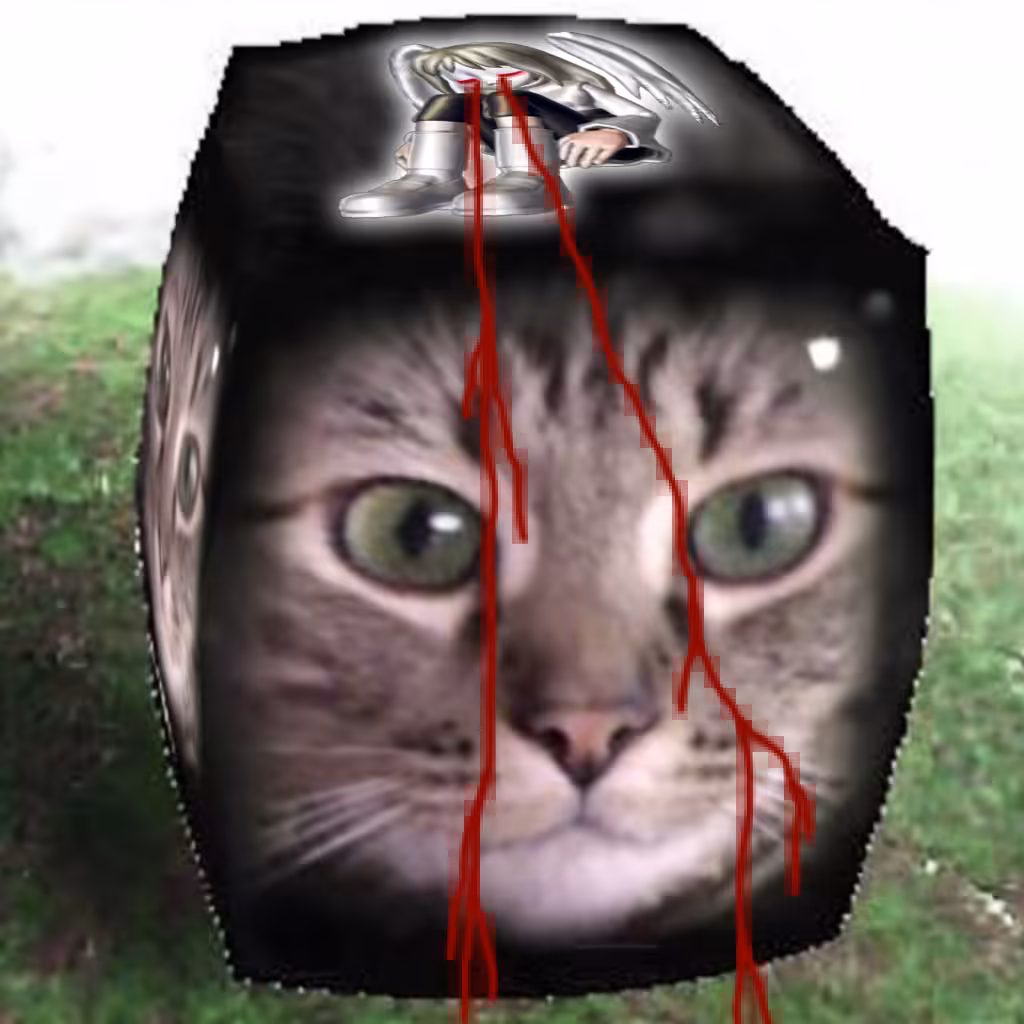 🐈❤️‍🩹
