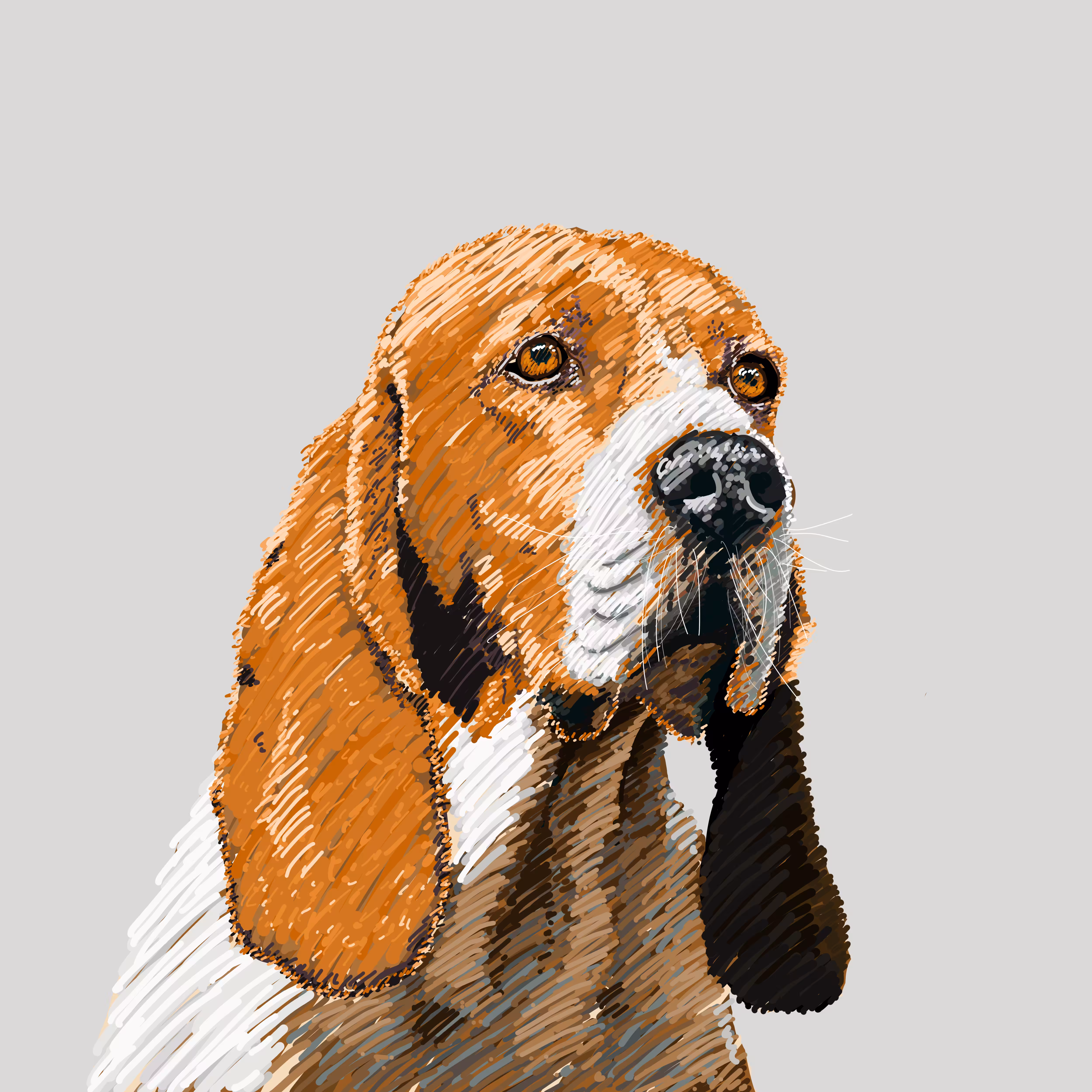 Artois Hound